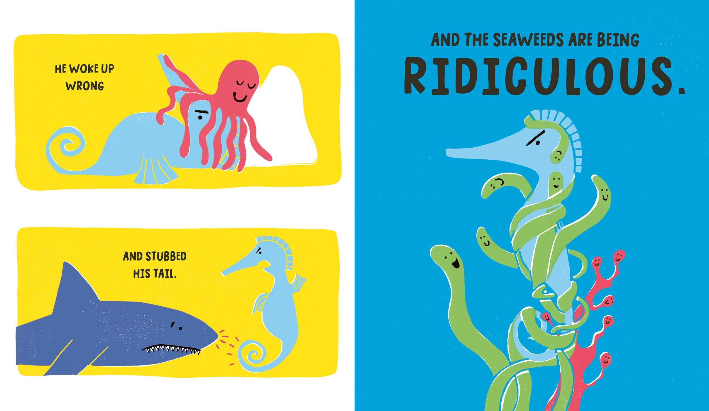 Seahorse is Furious