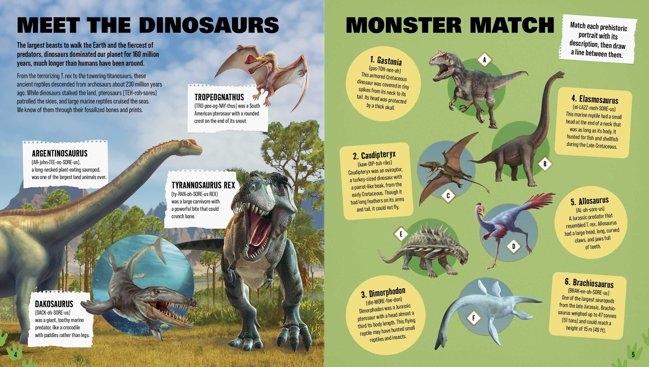 Dinosaurs Activity Book