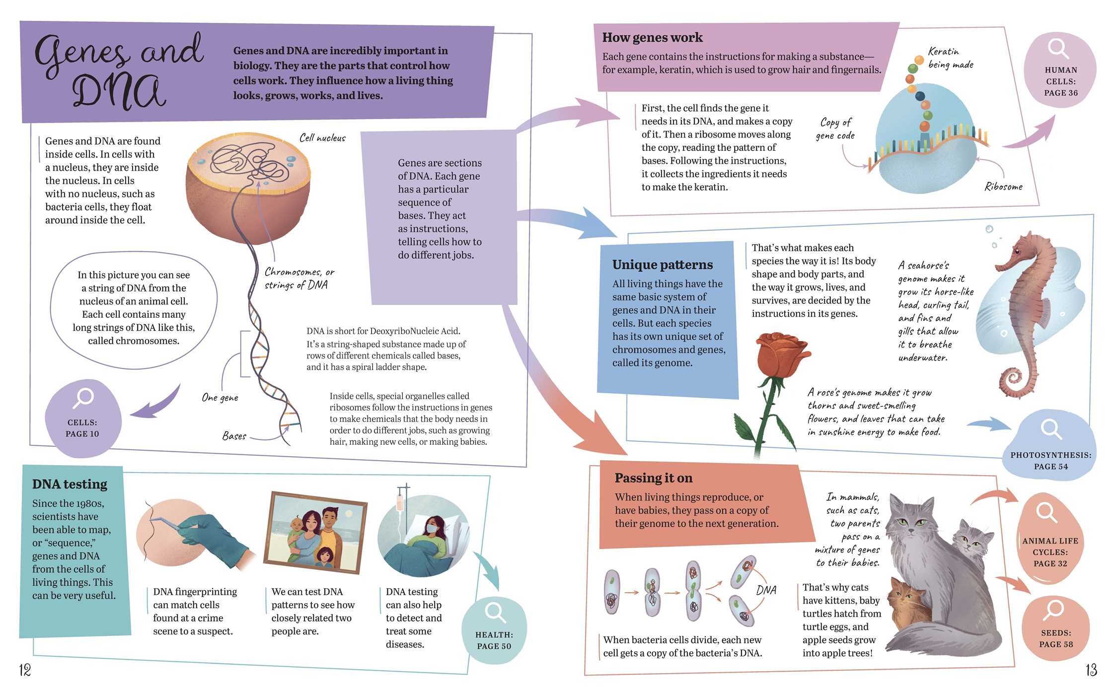 Visual Science Encyclopedia
