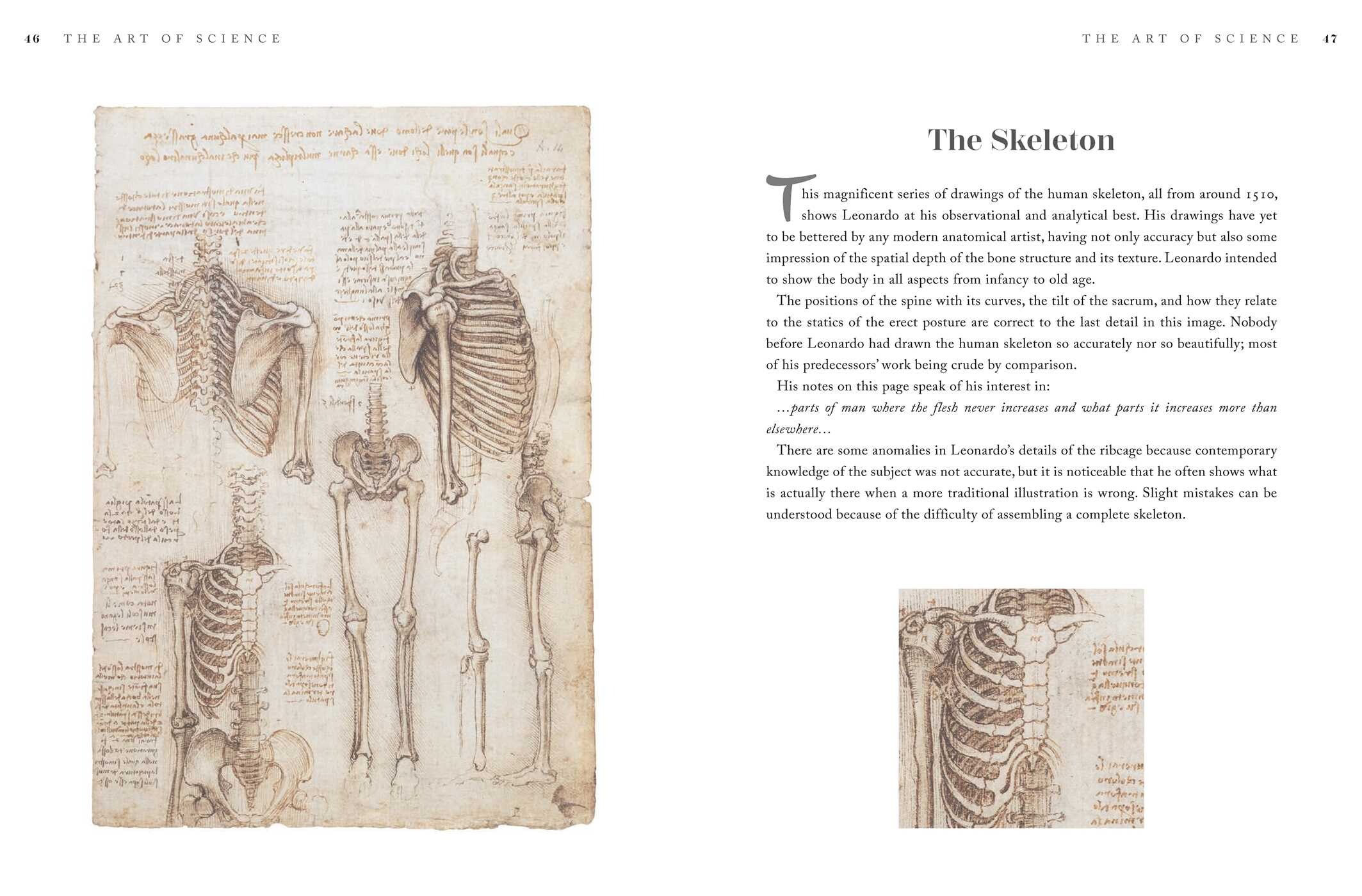 Through the Eyes of Leonardo da Vinci