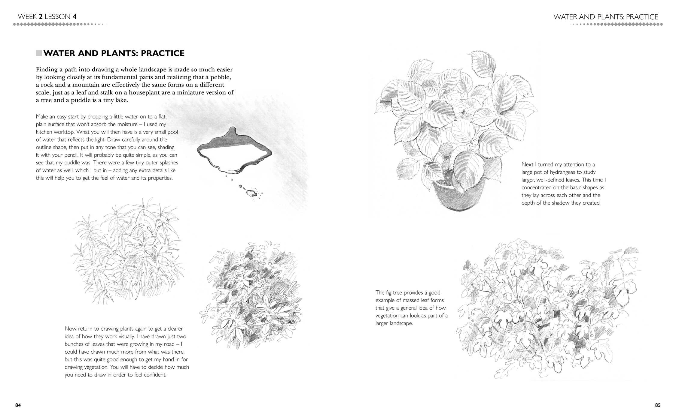 6-Week Drawing Course
