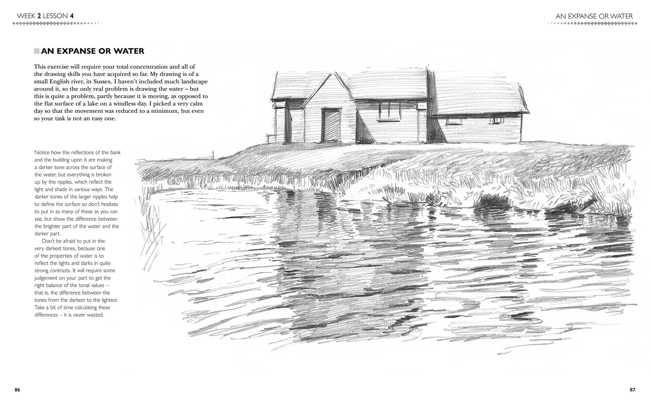6-Week Drawing Course