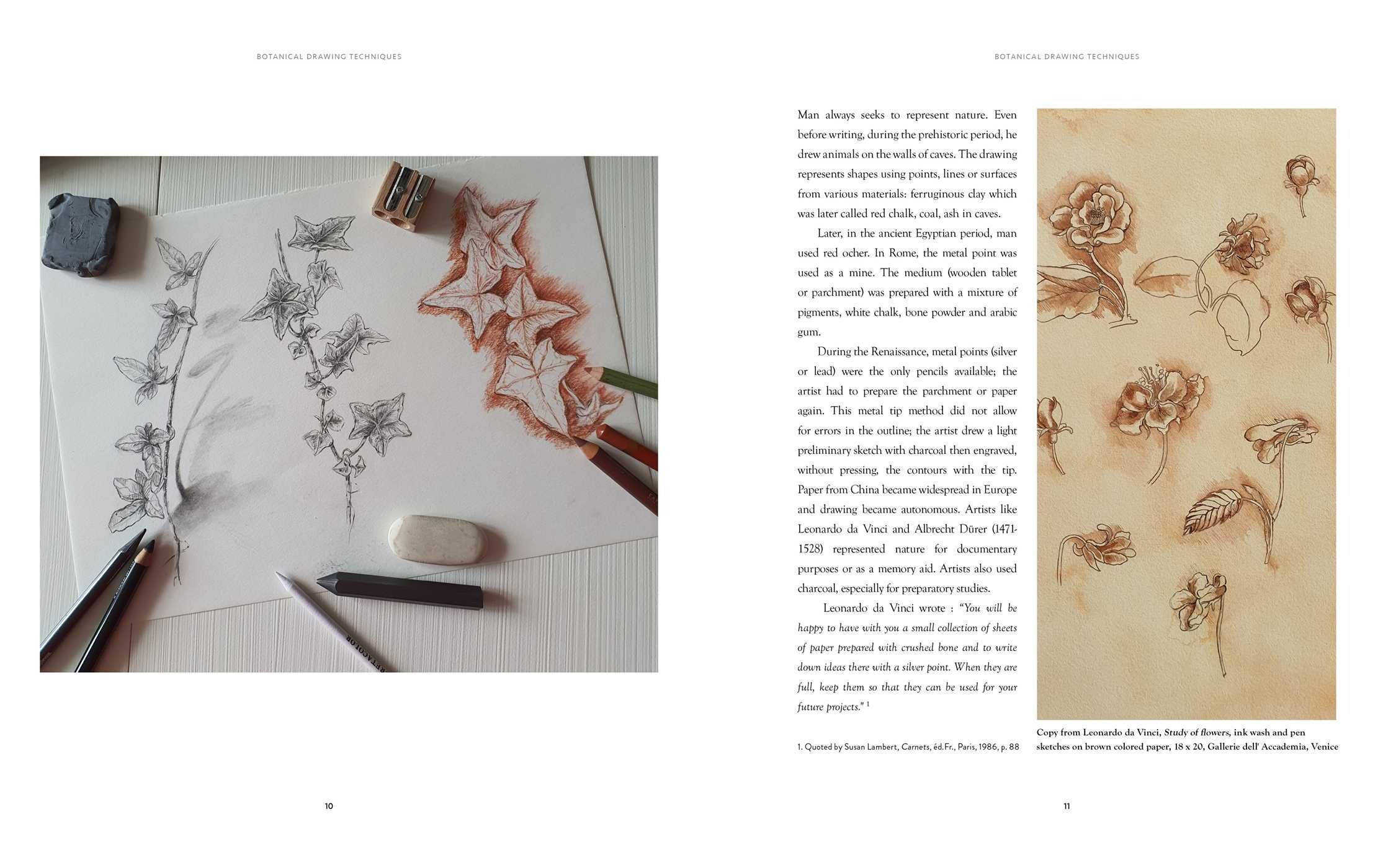 Creating Botanical Art