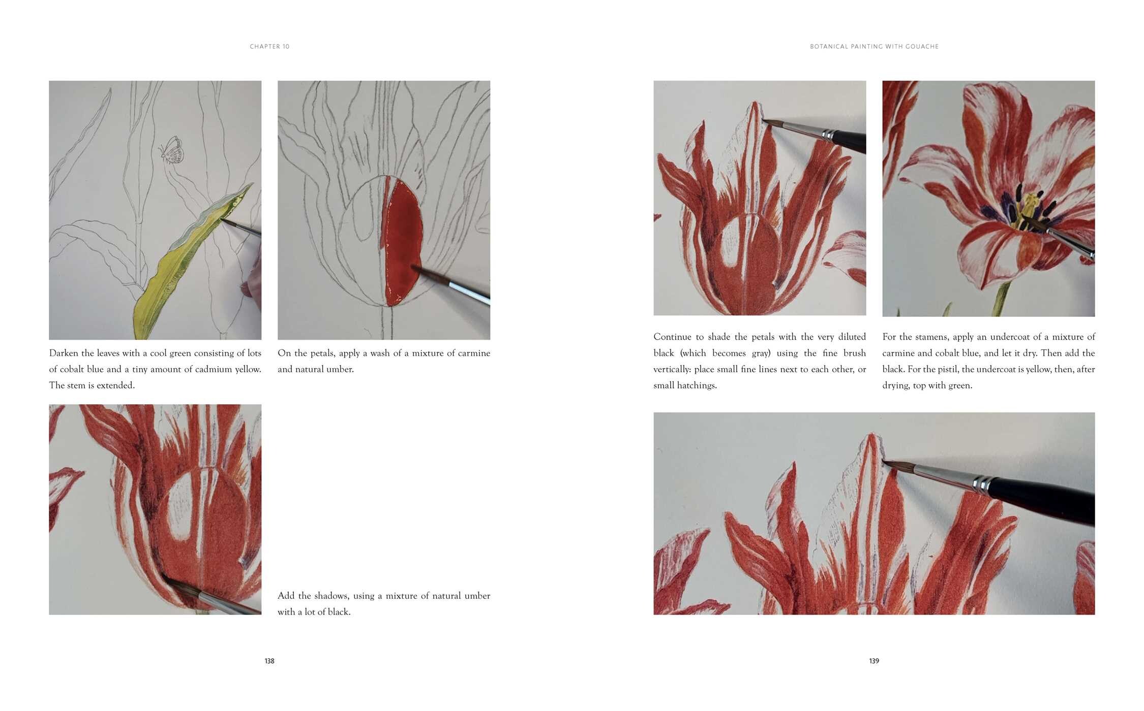 Creating Botanical Art