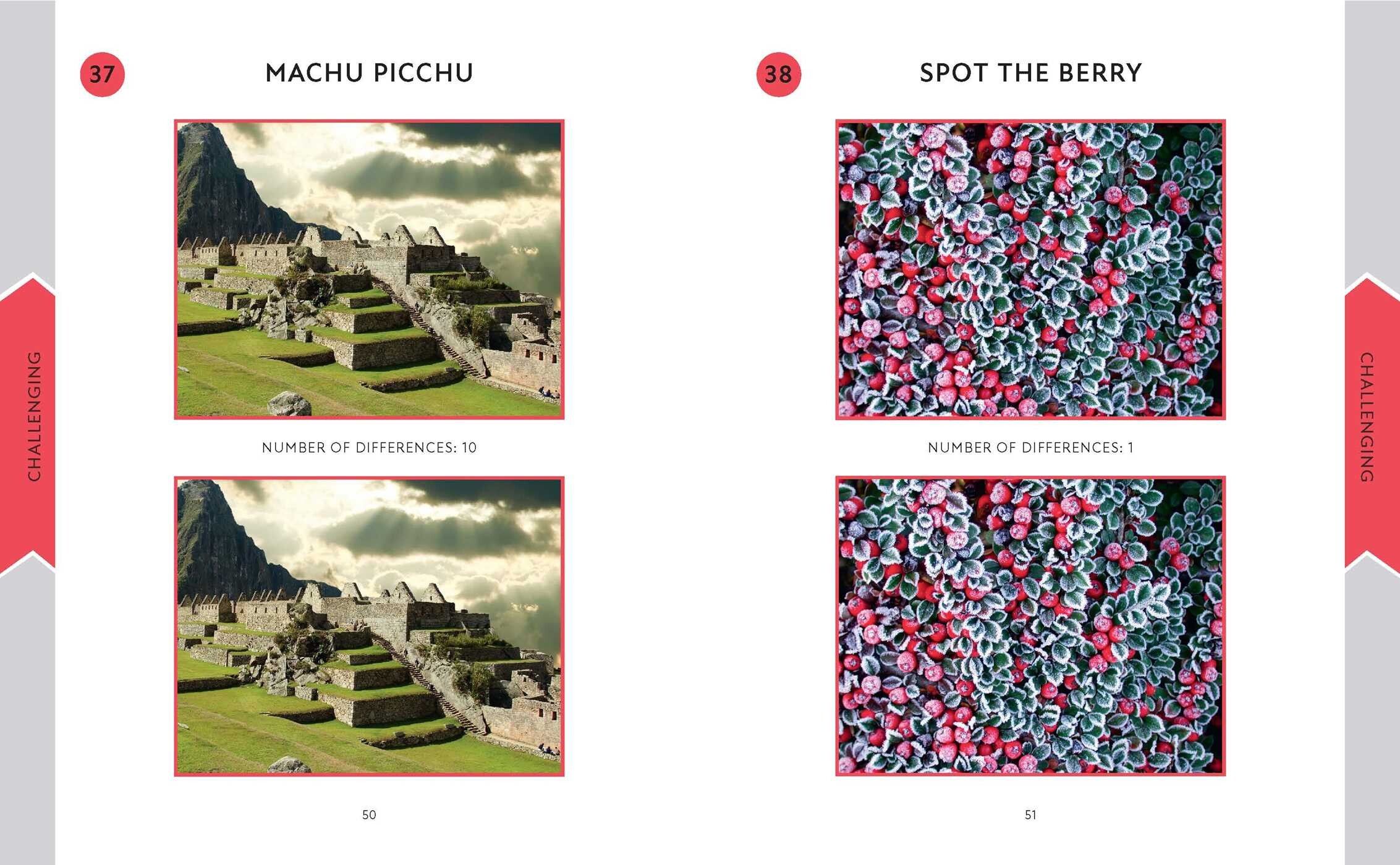 Spot the Difference Picture Puzzles