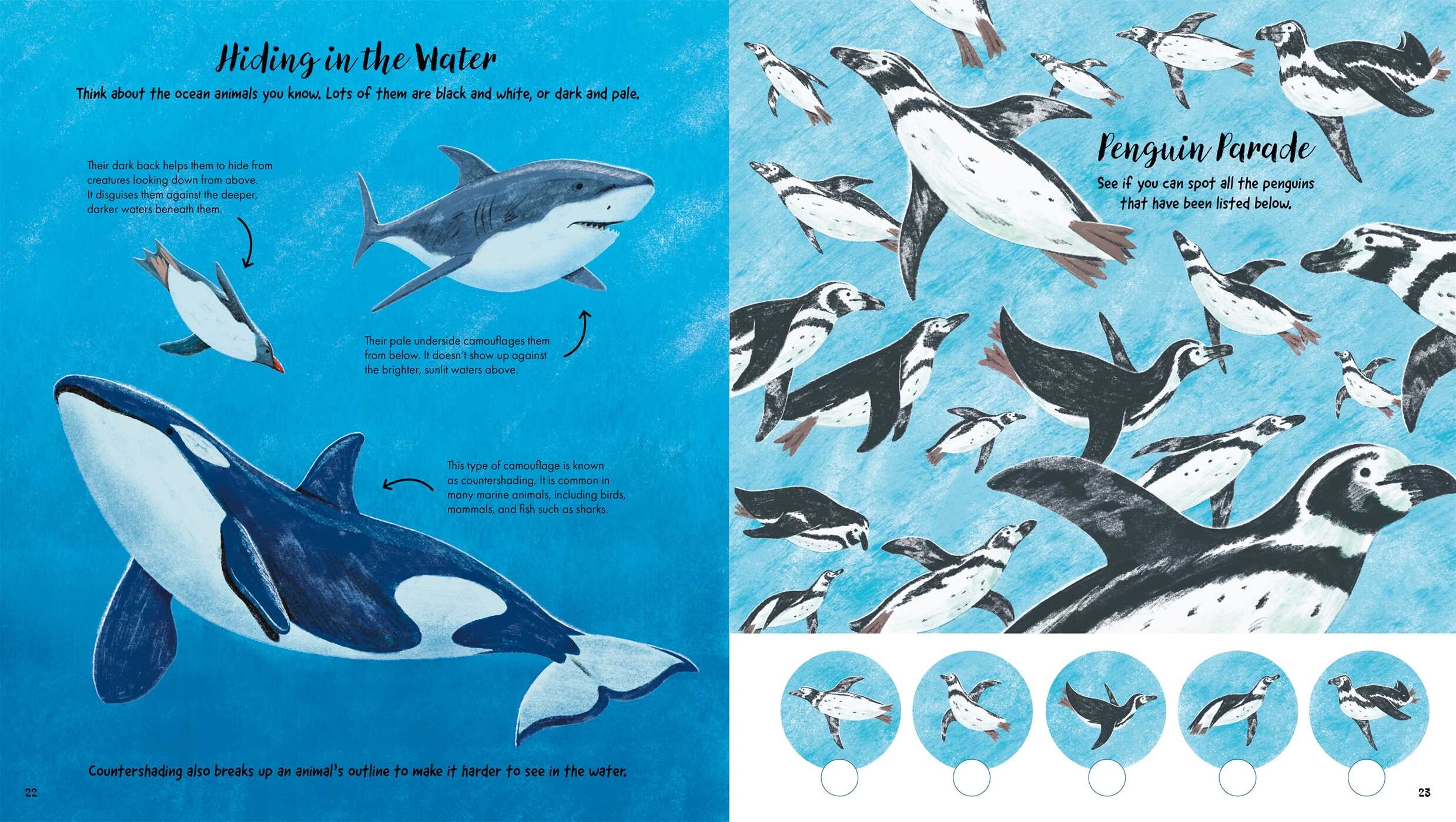 Fact Finders: Animals Activity Book