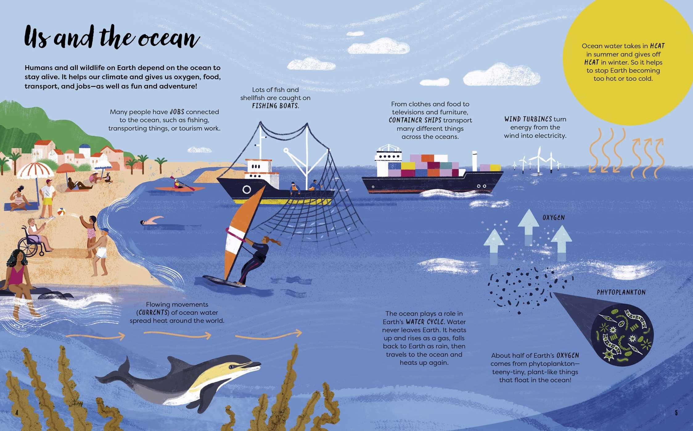 Discover the Ocean