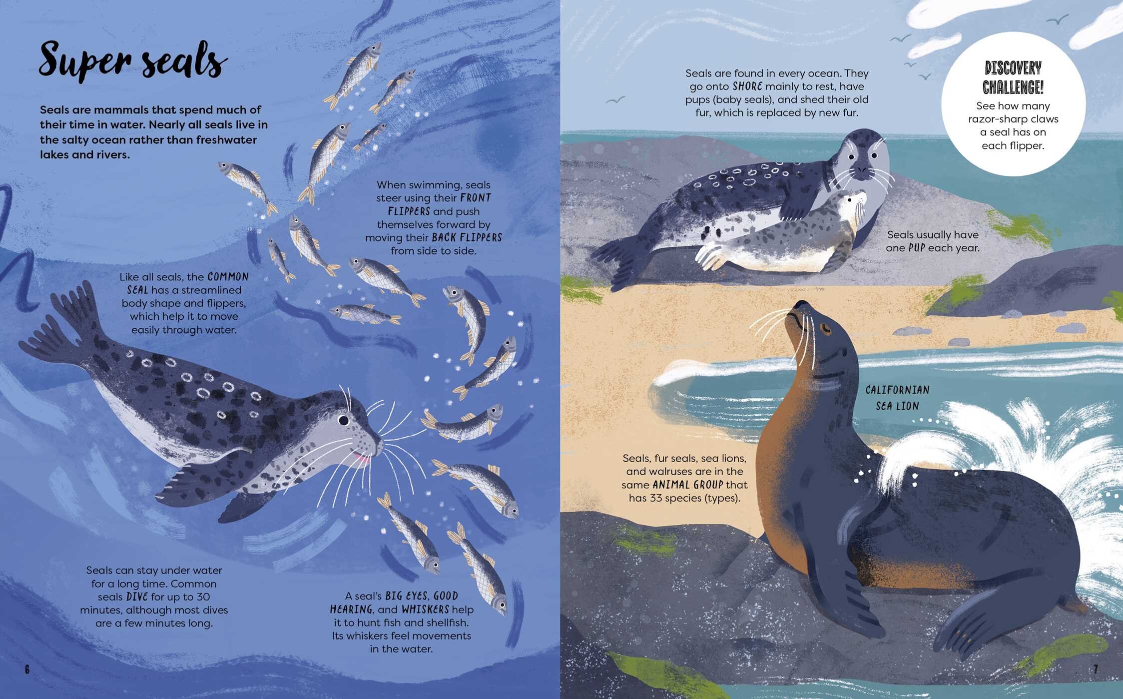 Discover the Ocean