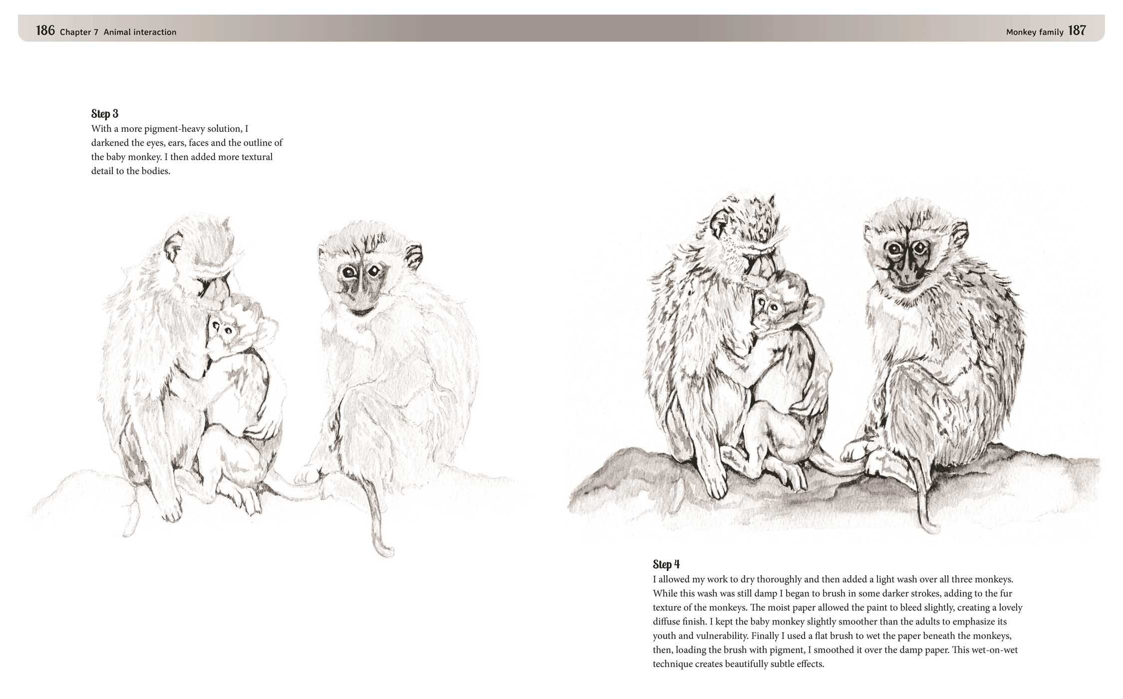 Drawing Animals