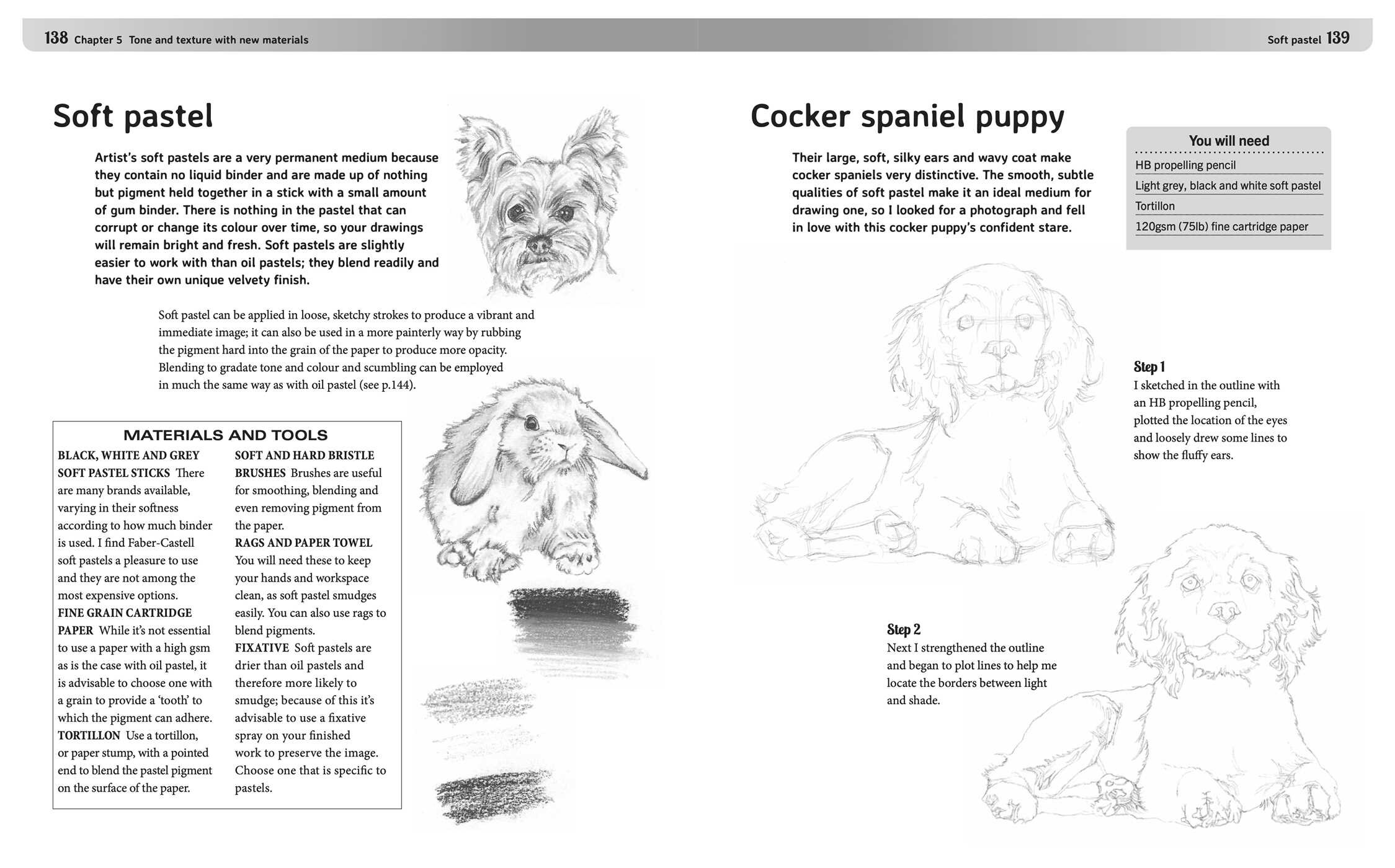 Drawing Animals