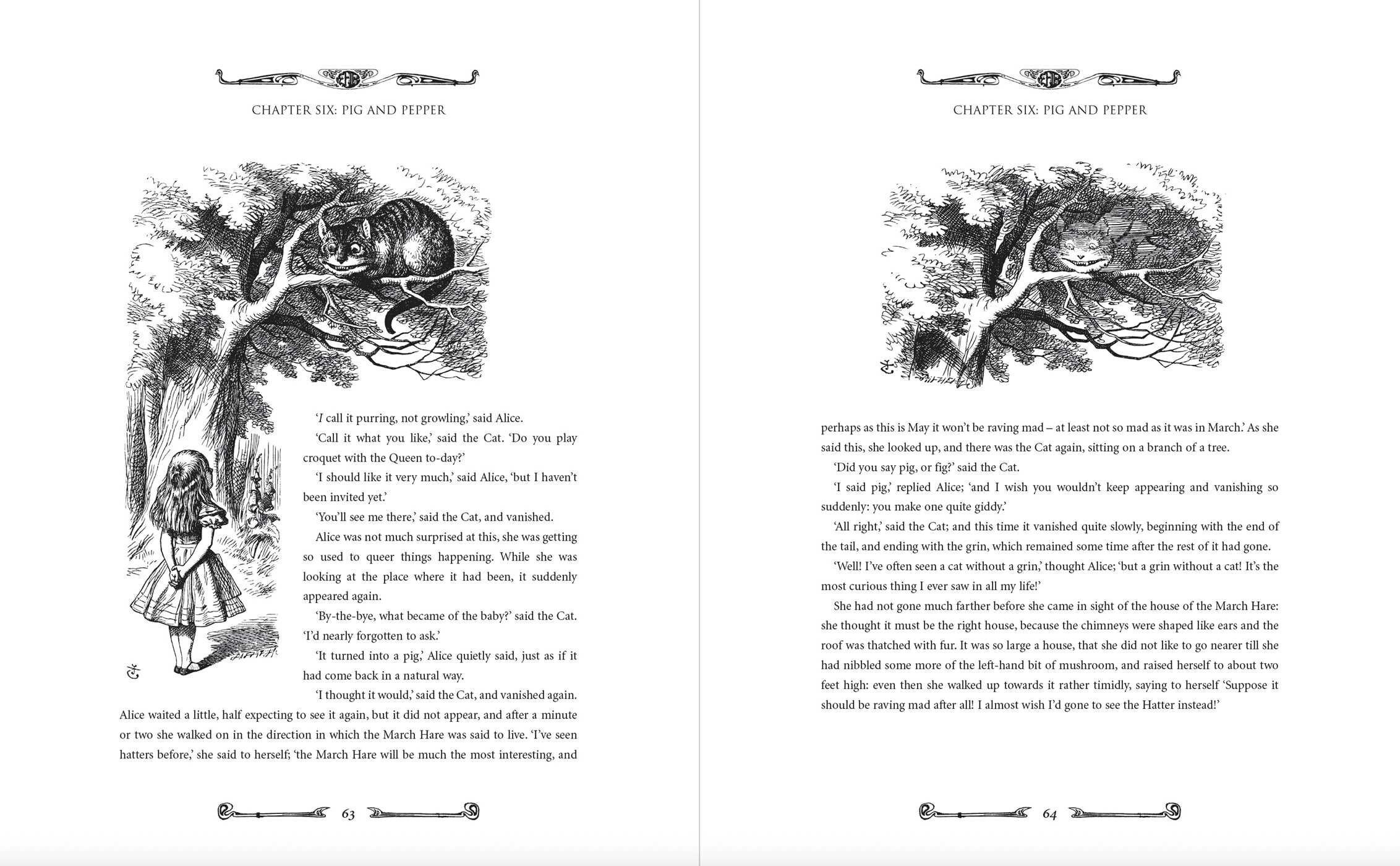 Alice's Adventures In Wonderland and Through the Looking Glass