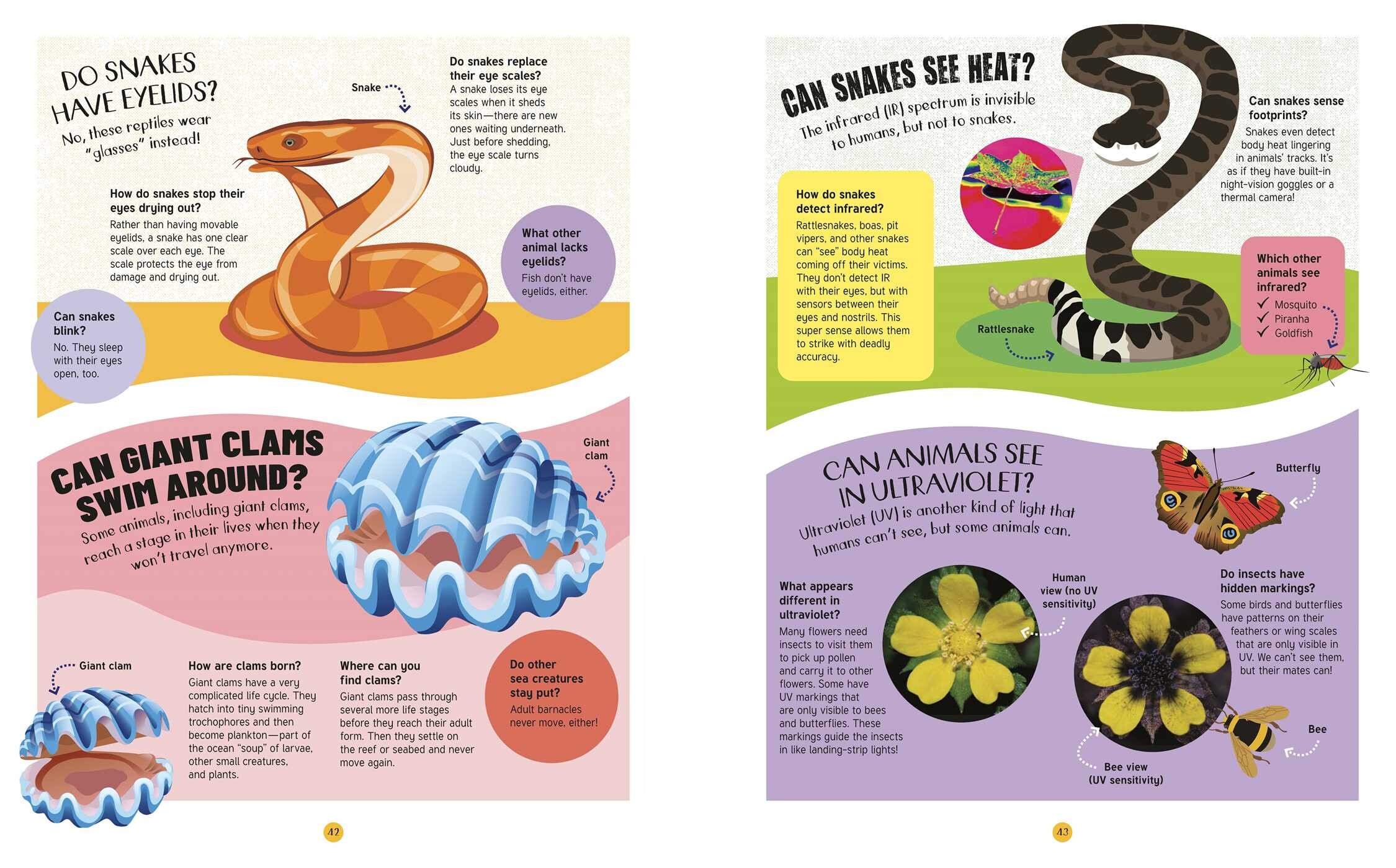 Animals: 500 Questions and Answers