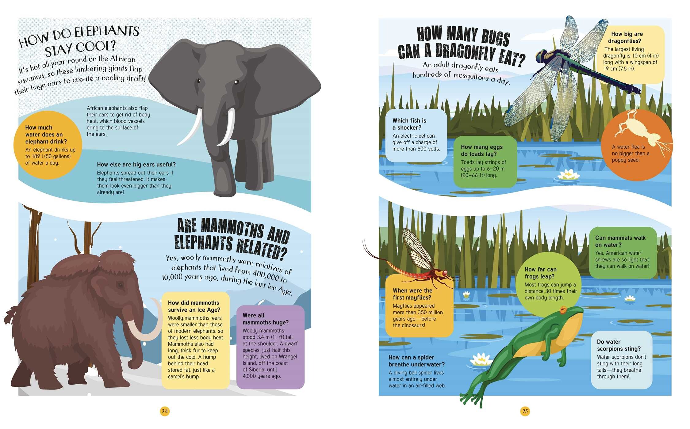 Animals: 500 Questions and Answers