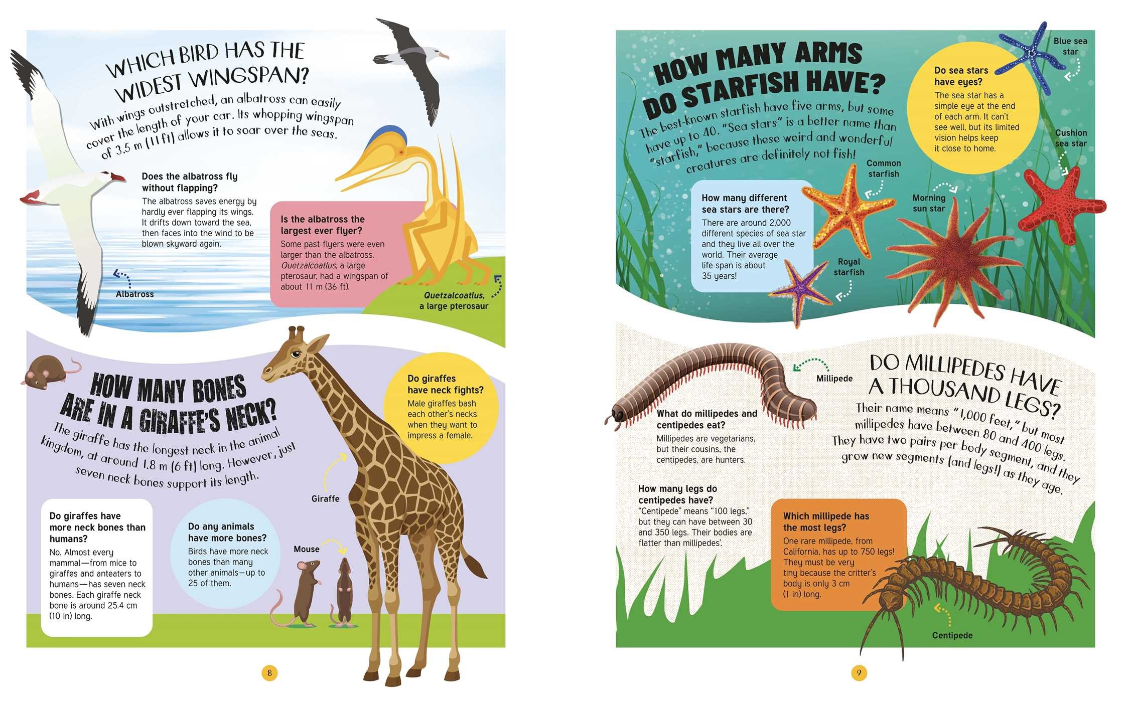 Animals: 500 Questions and Answers