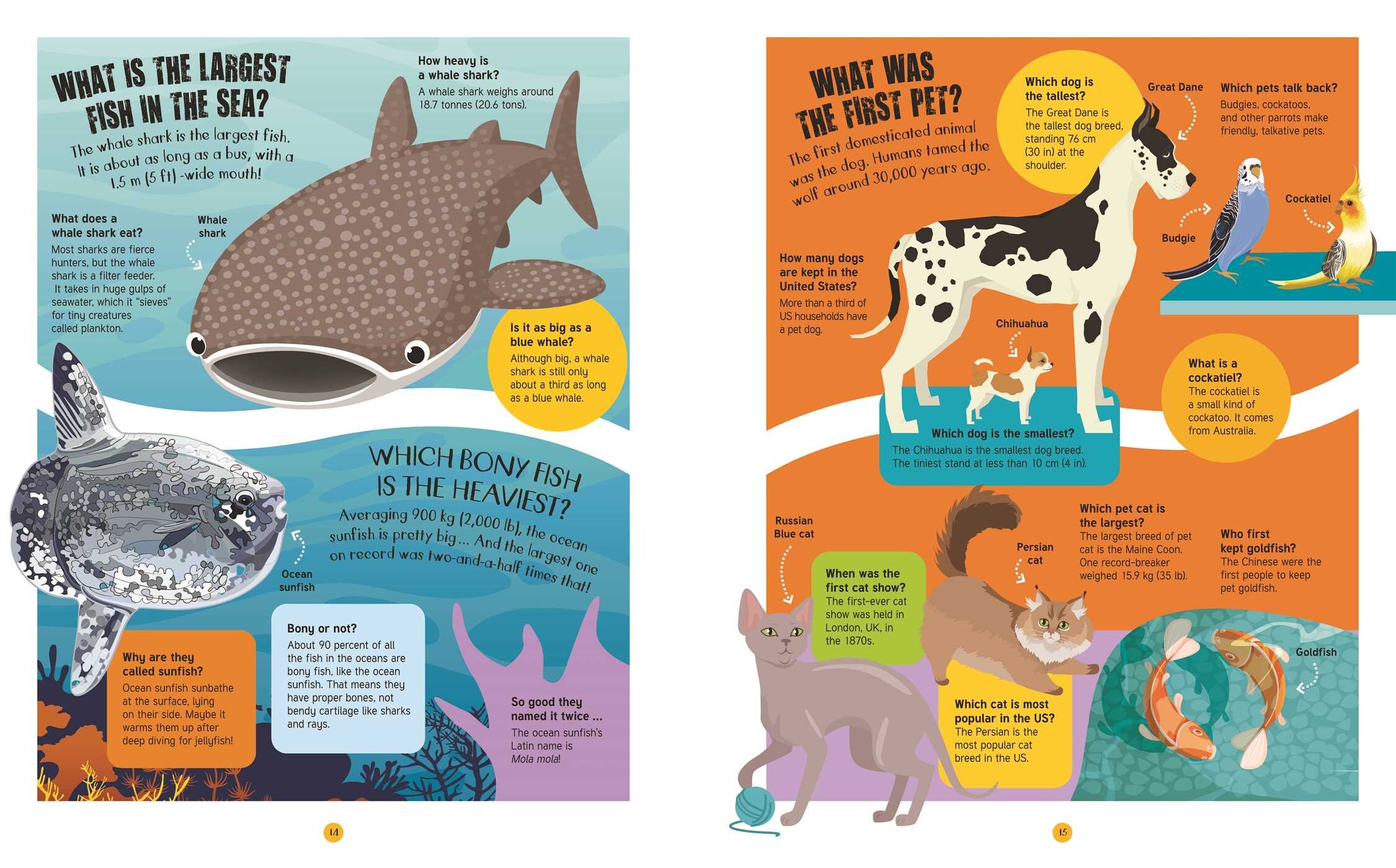 Animals: 500 Questions and Answers