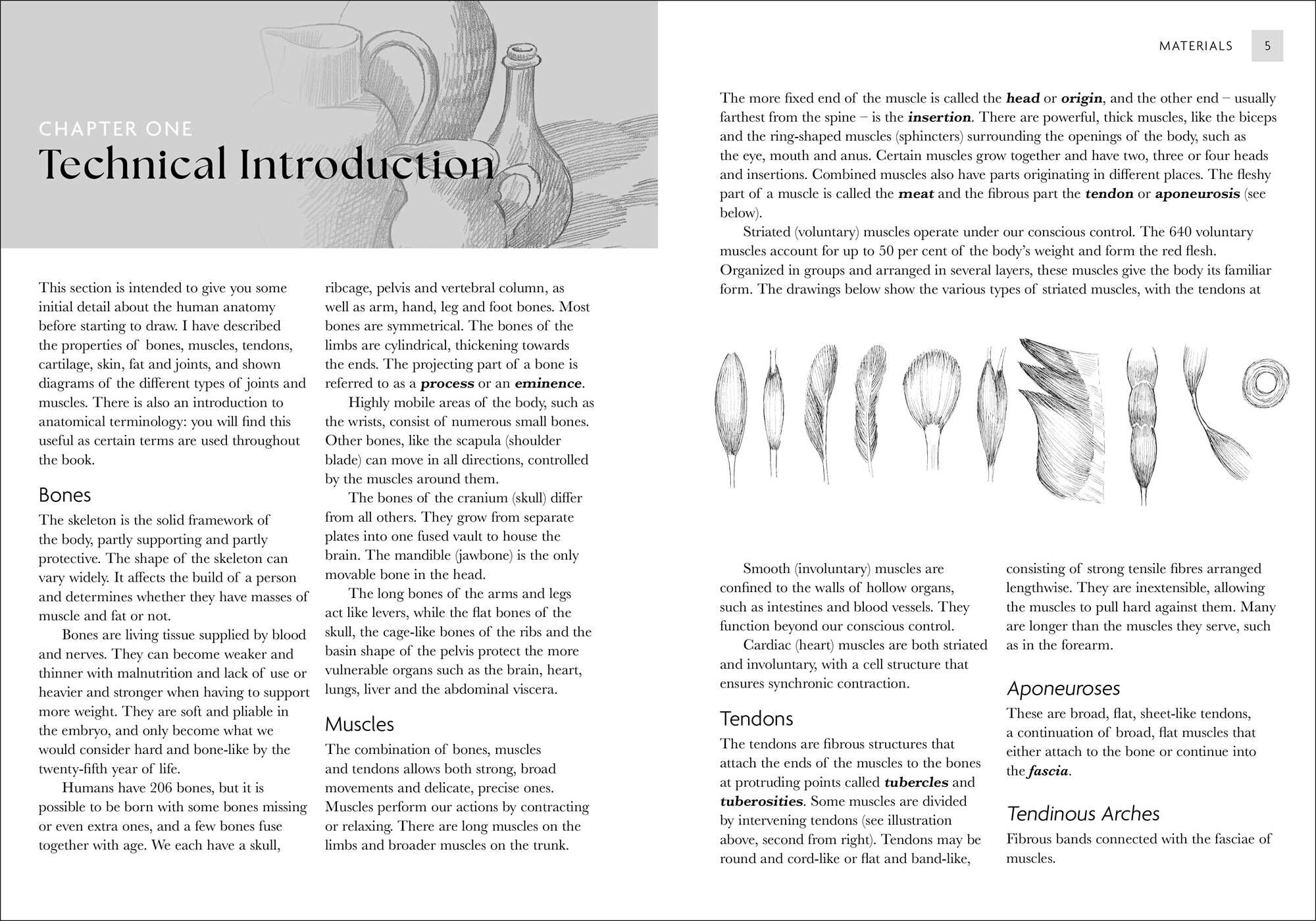 Complete Anatomy for Artists Kit