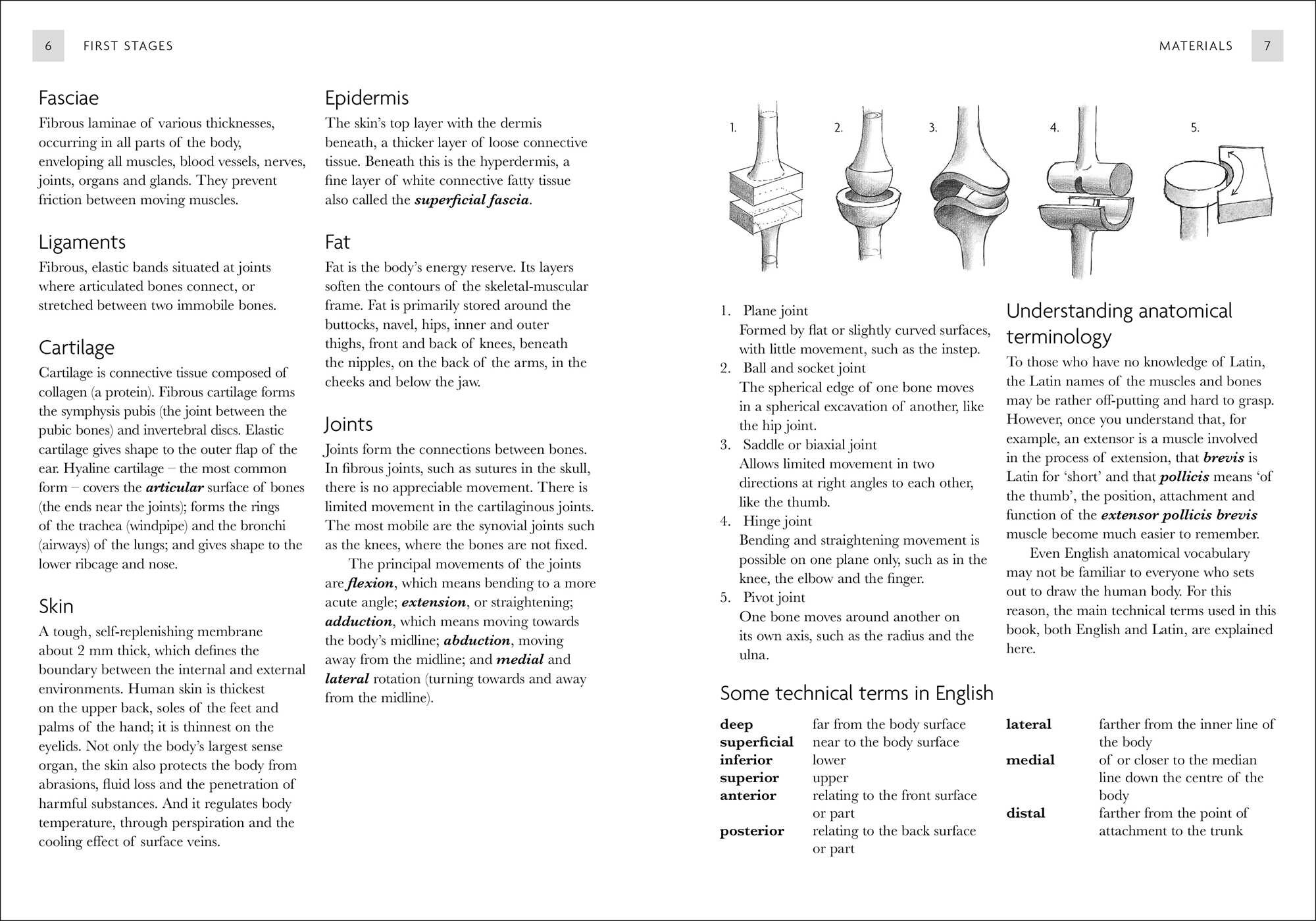 Complete Anatomy for Artists Kit