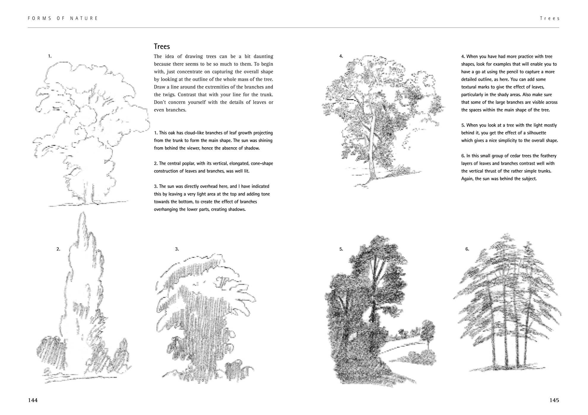 Complete Fundamentals of Drawing Kit