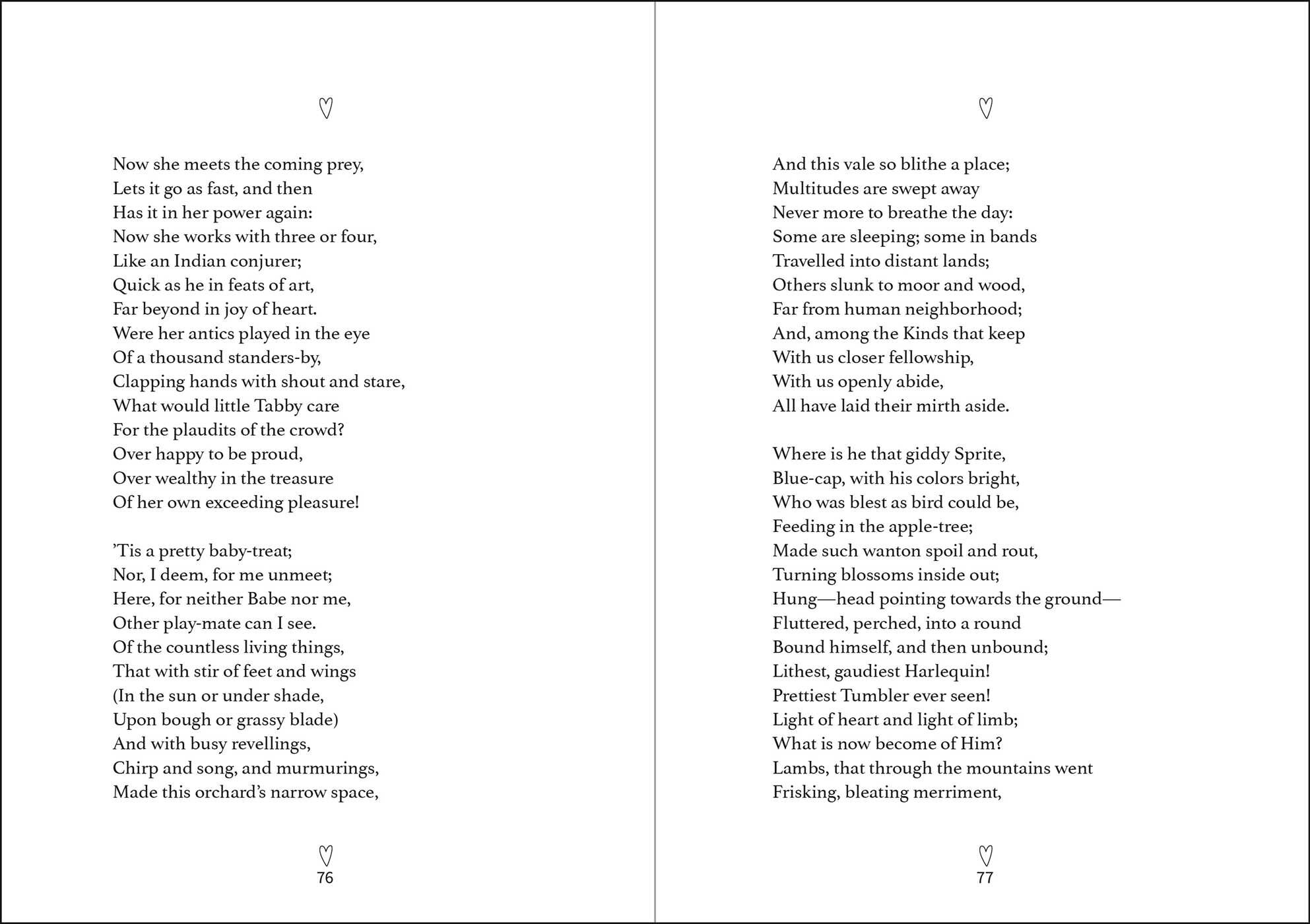Cat Poetry