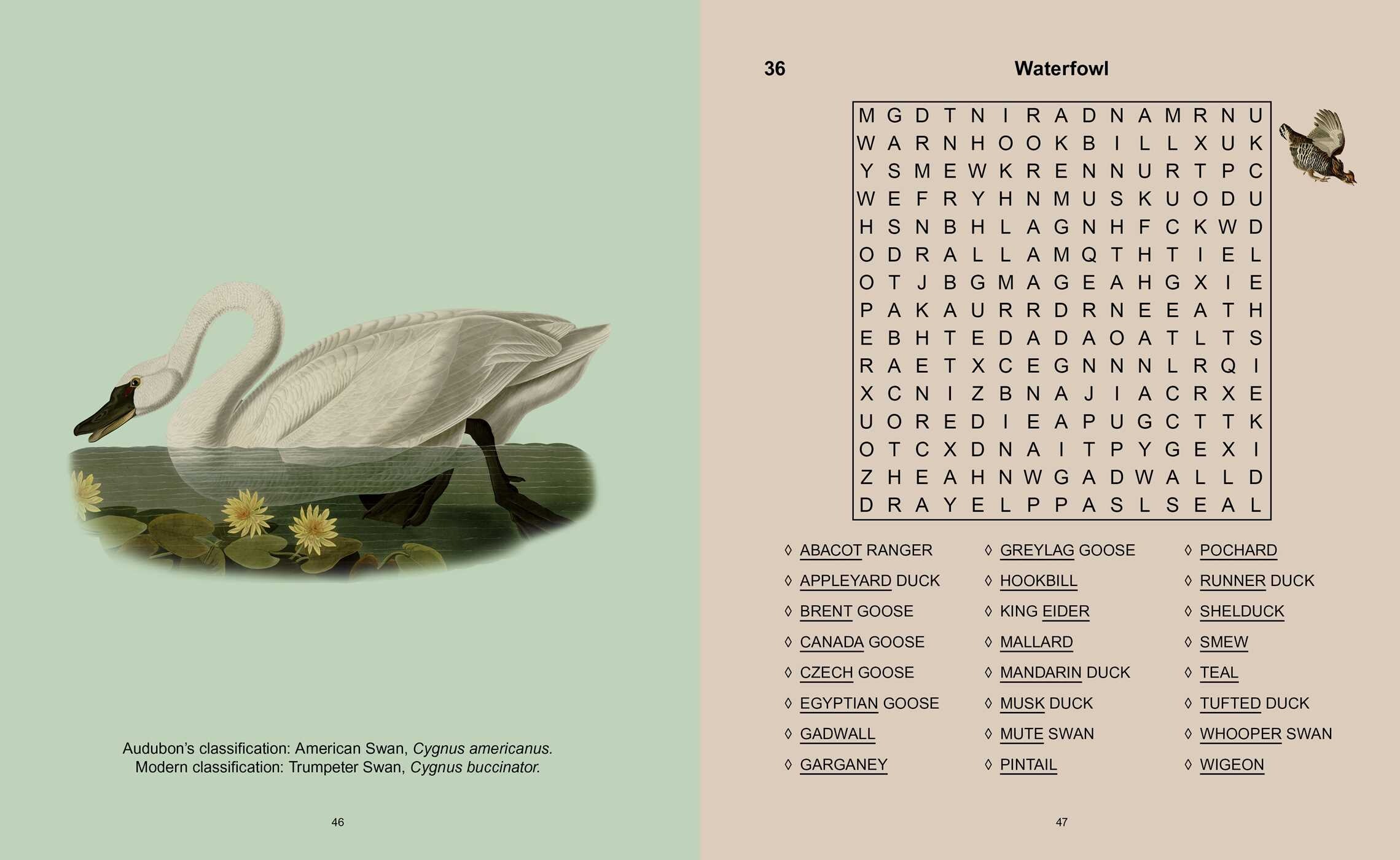 Audubon's Birds Wordsearch