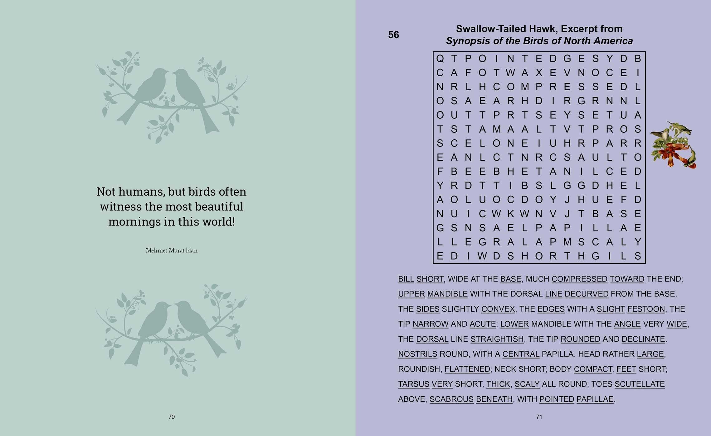 Audubon's Birds Wordsearch