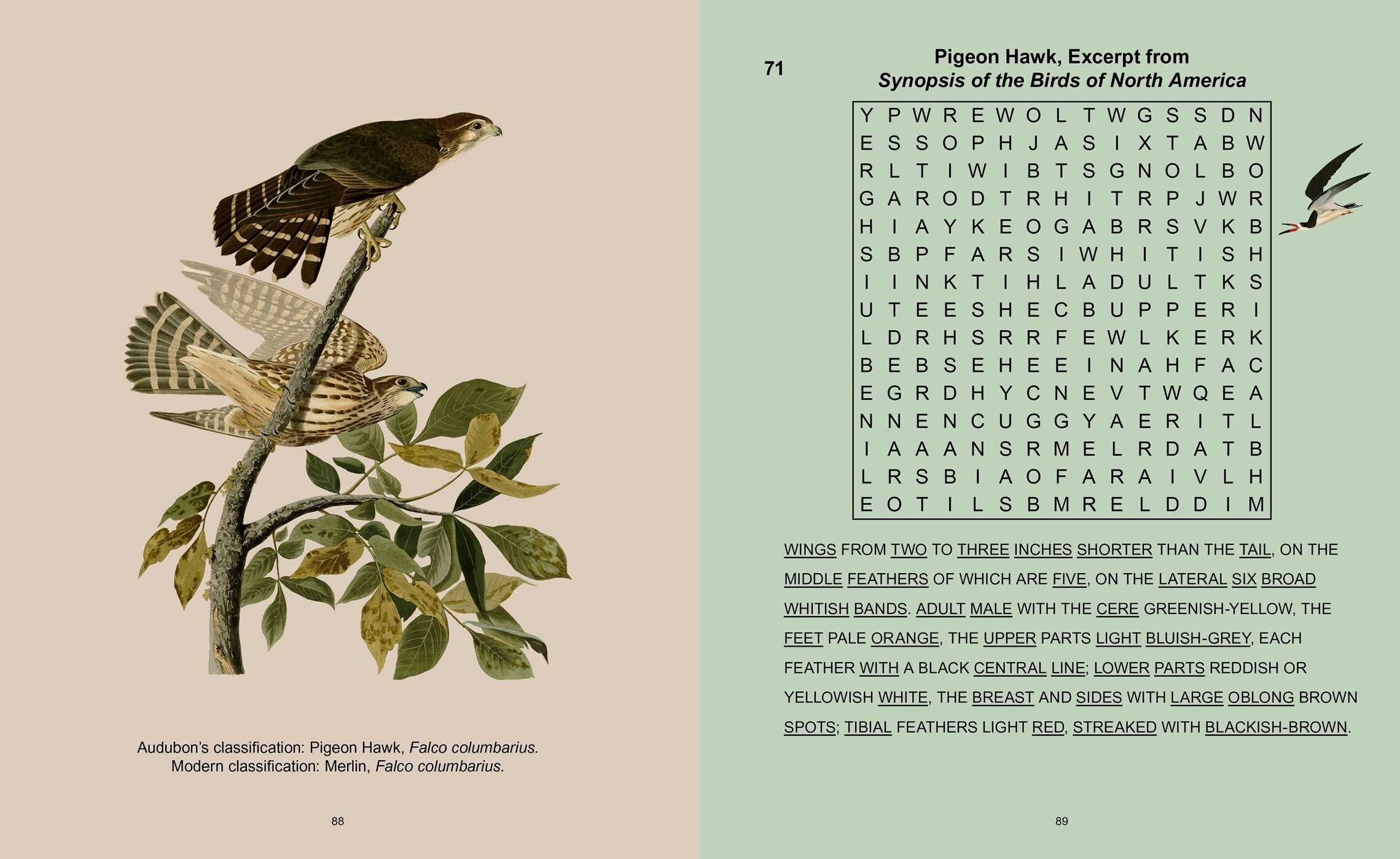 Audubon's Birds Wordsearch