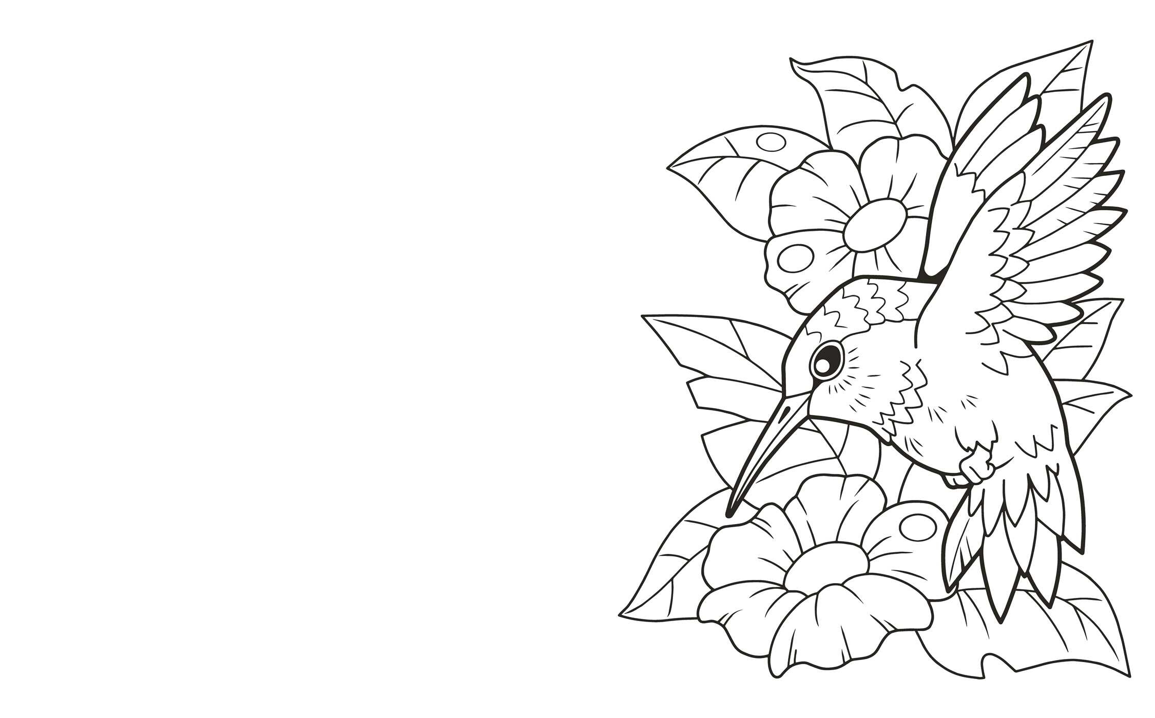 Large Print Birds Coloring Book