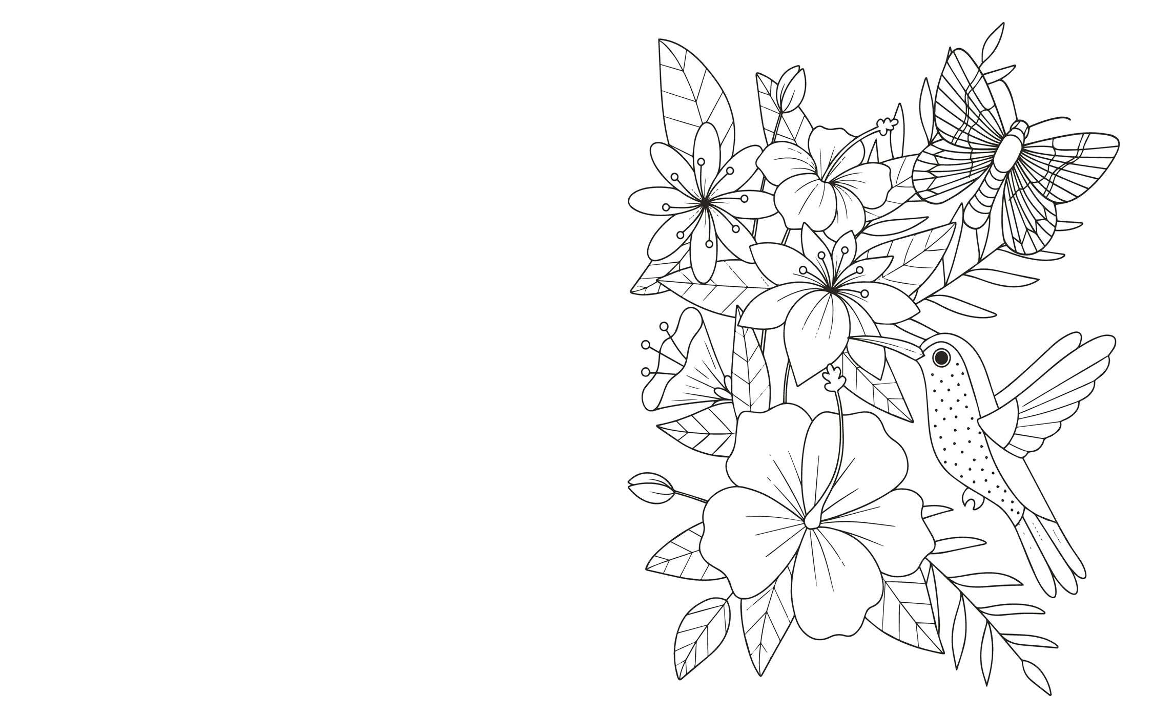 Large Print Birds Coloring Book