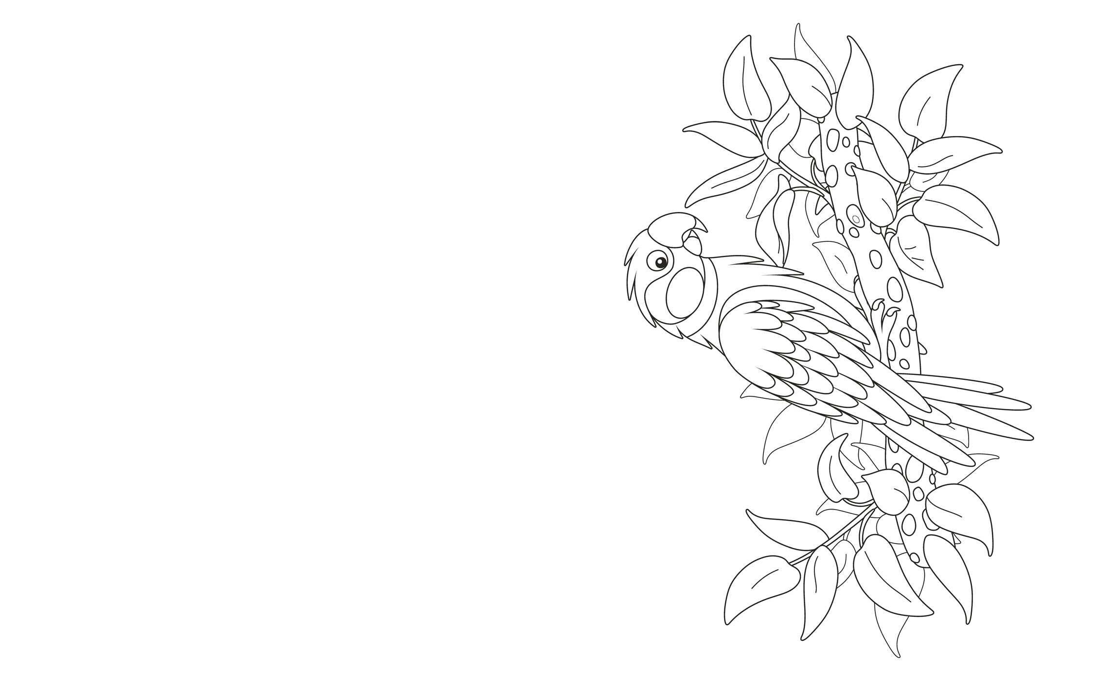 Large Print Birds Coloring Book
