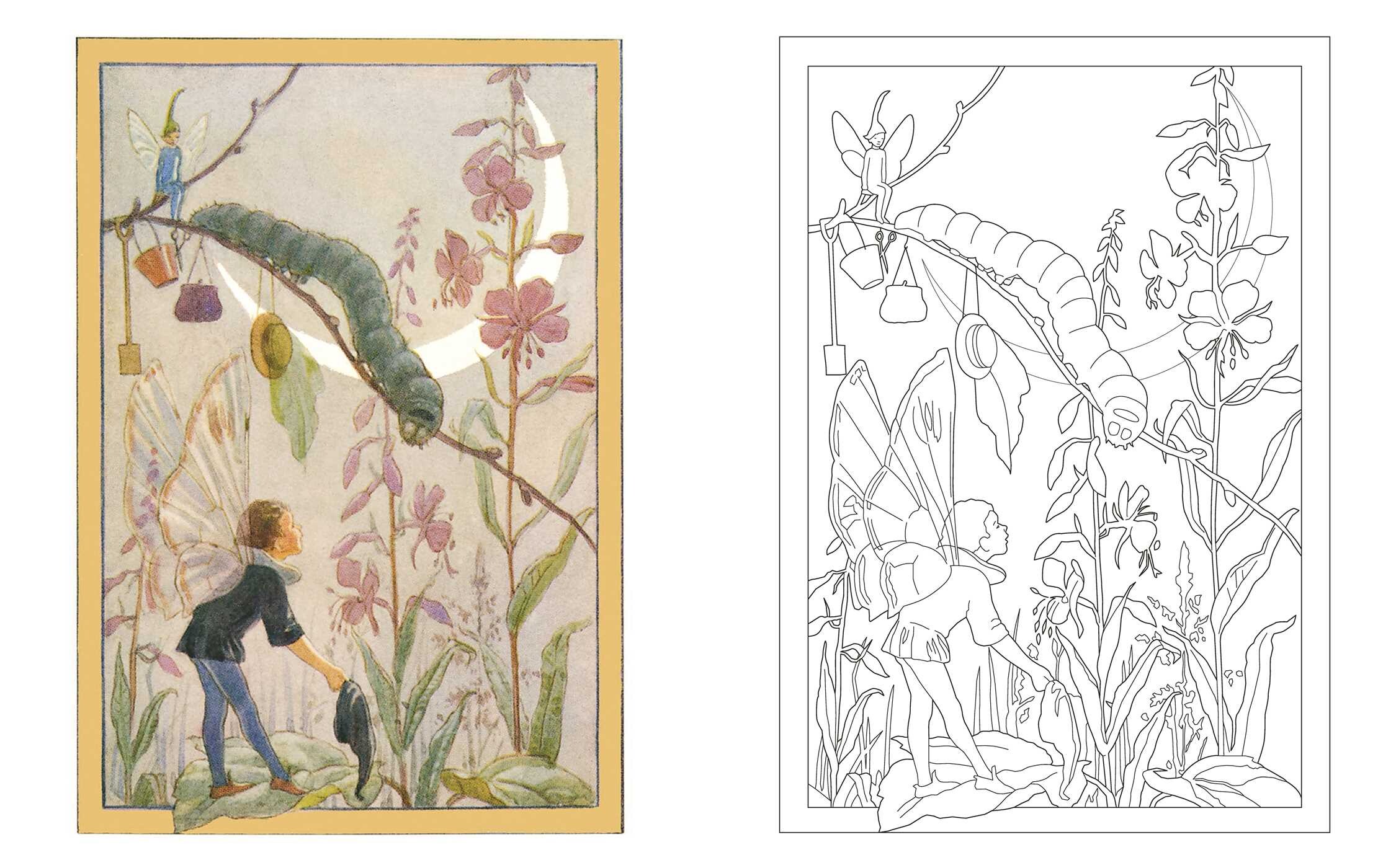 Garden Fairies Coloring Book