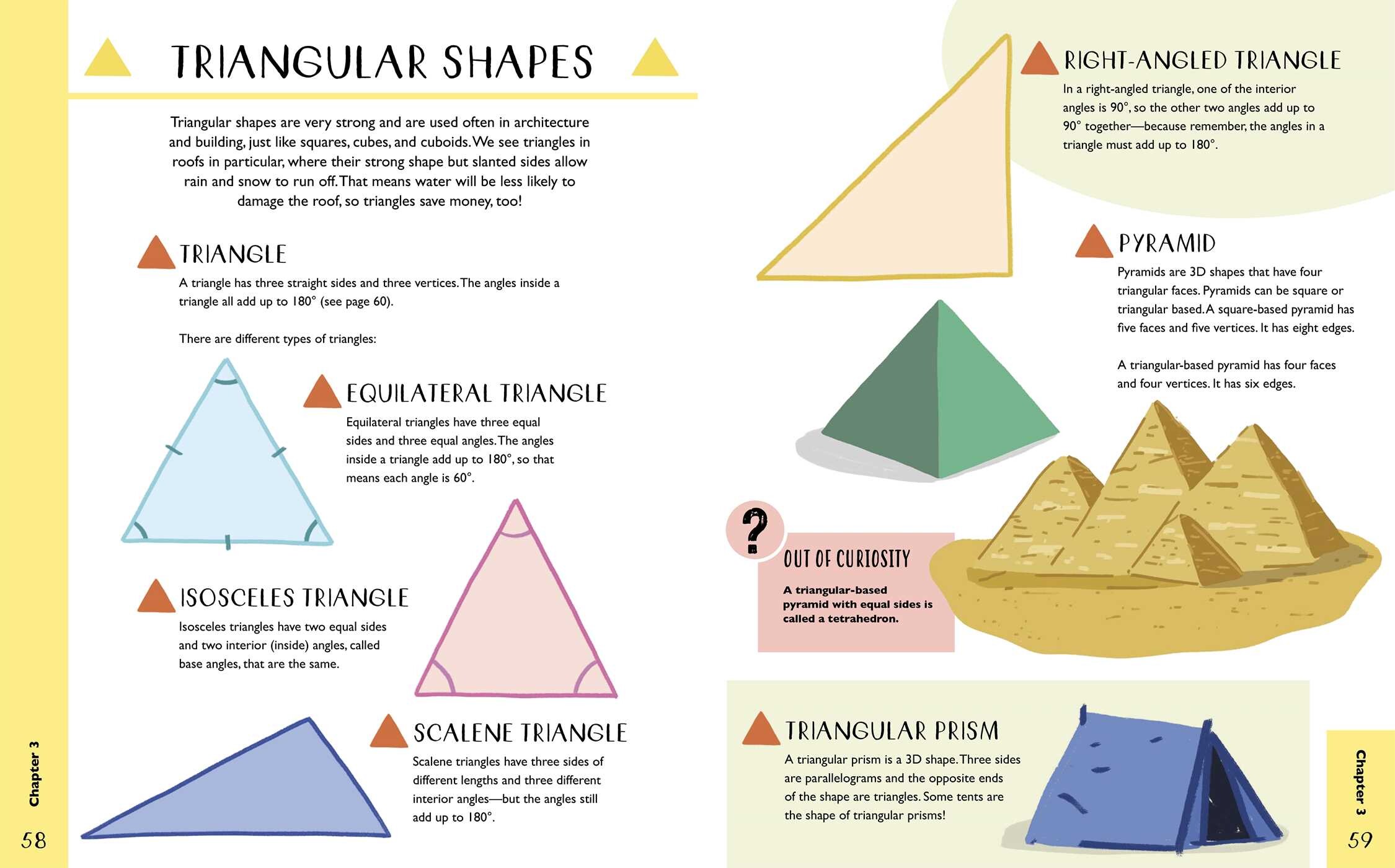 Curious Kids: The Math Book
