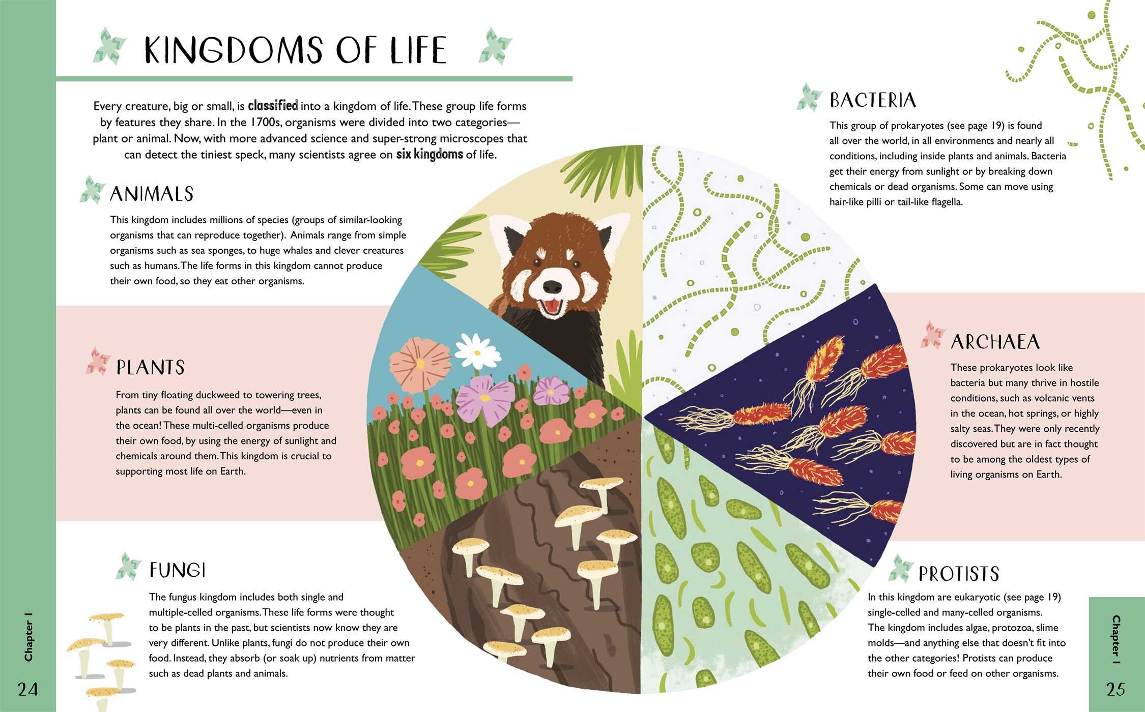 Curious Kids: The Biology Book