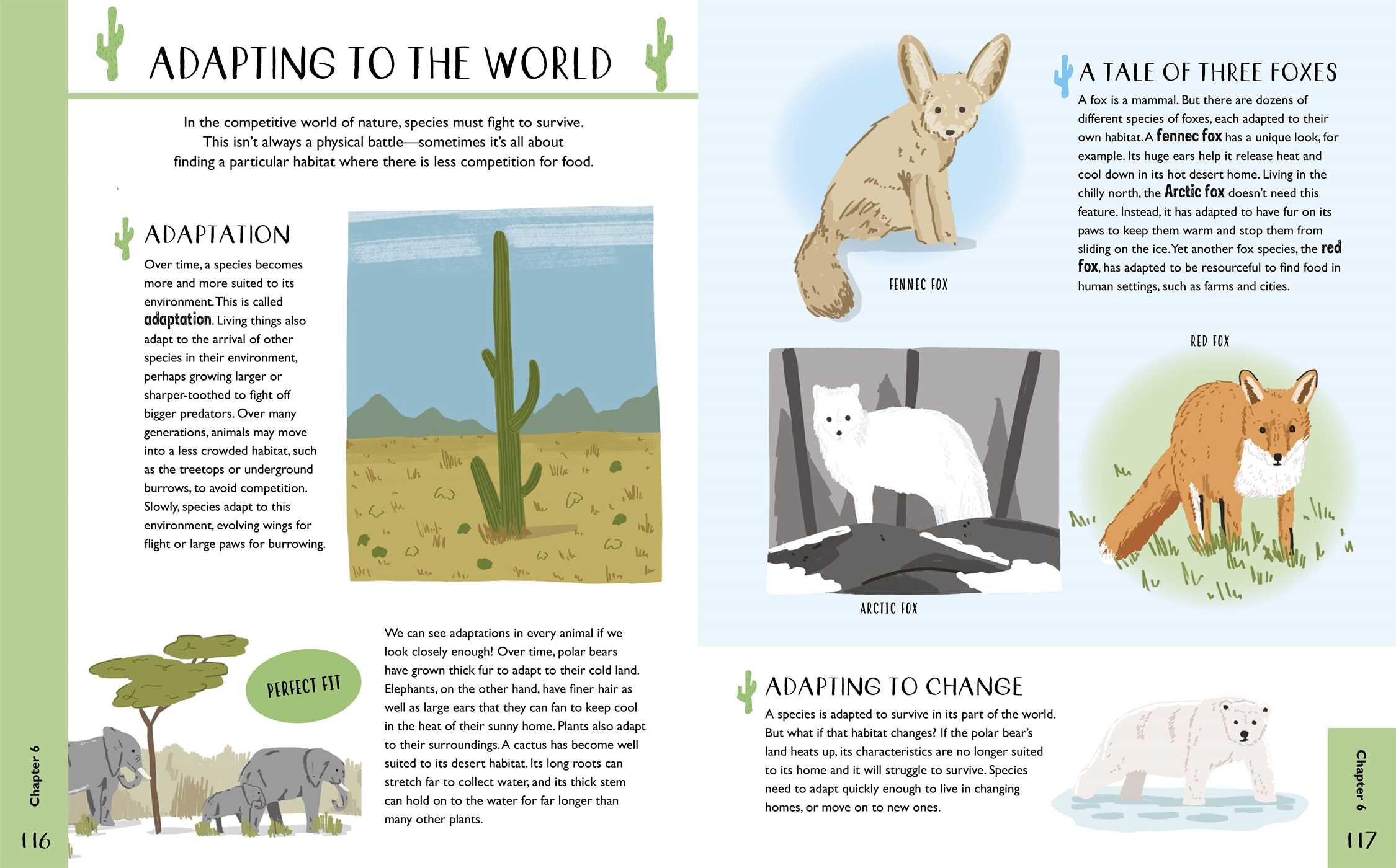 Curious Kids: The Biology Book