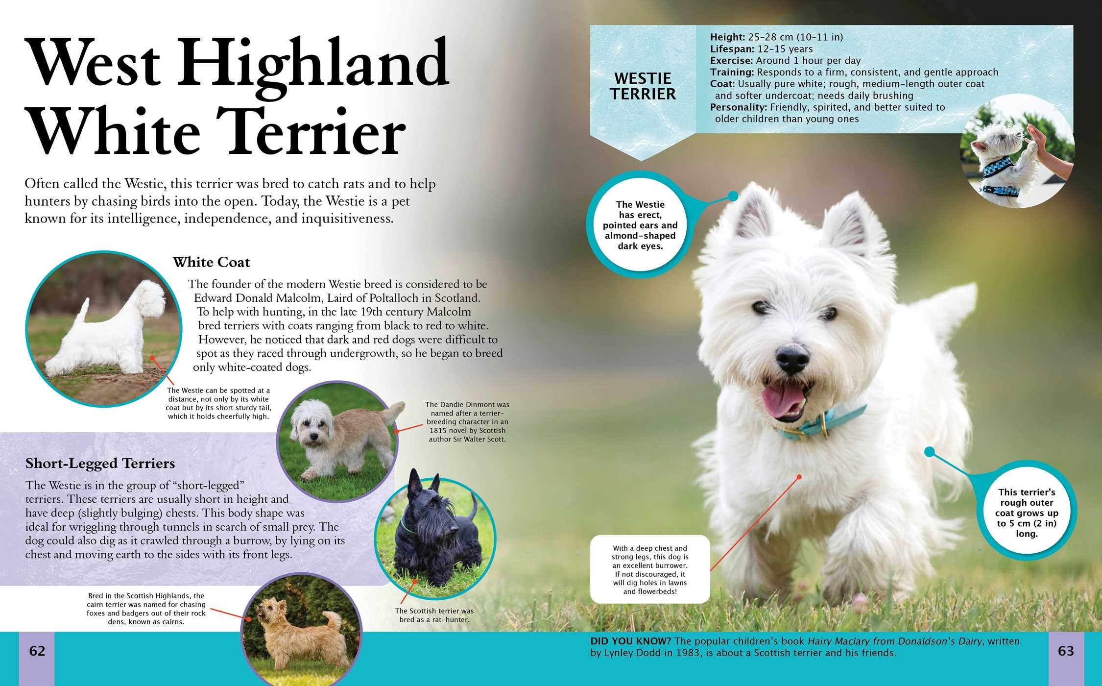 Children's Encyclopedia of Dogs