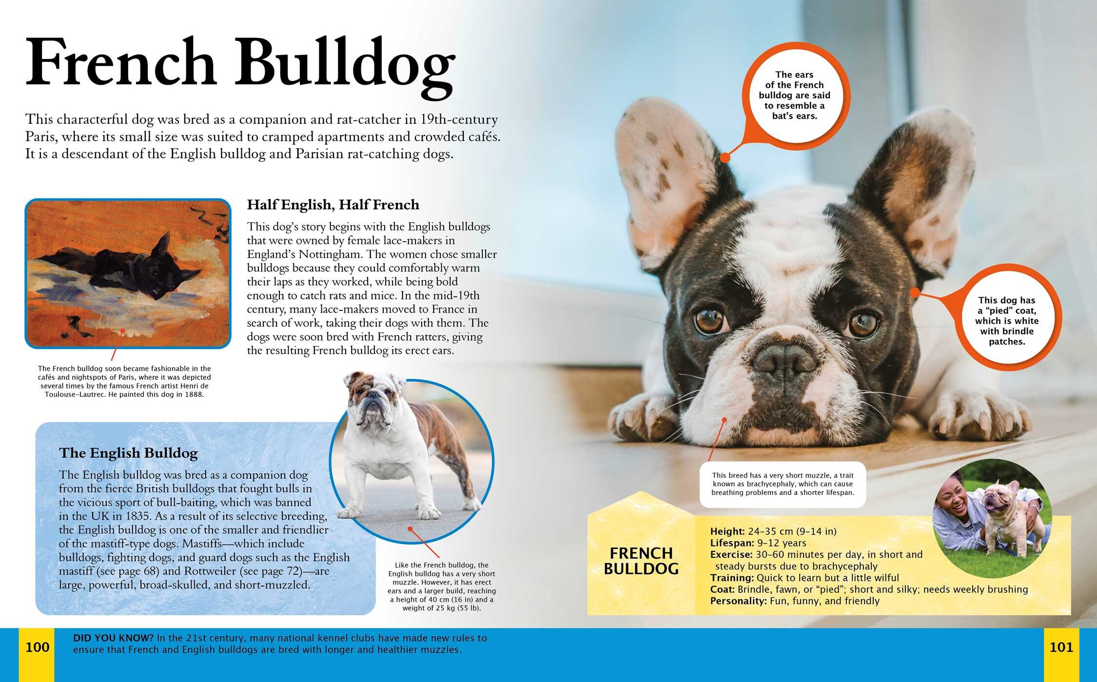 Children's Encyclopedia of Dogs