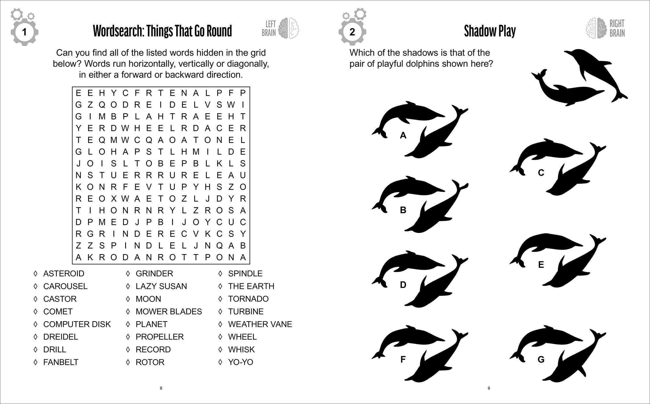 Left Brain, Right Brain Puzzles and Activities Book