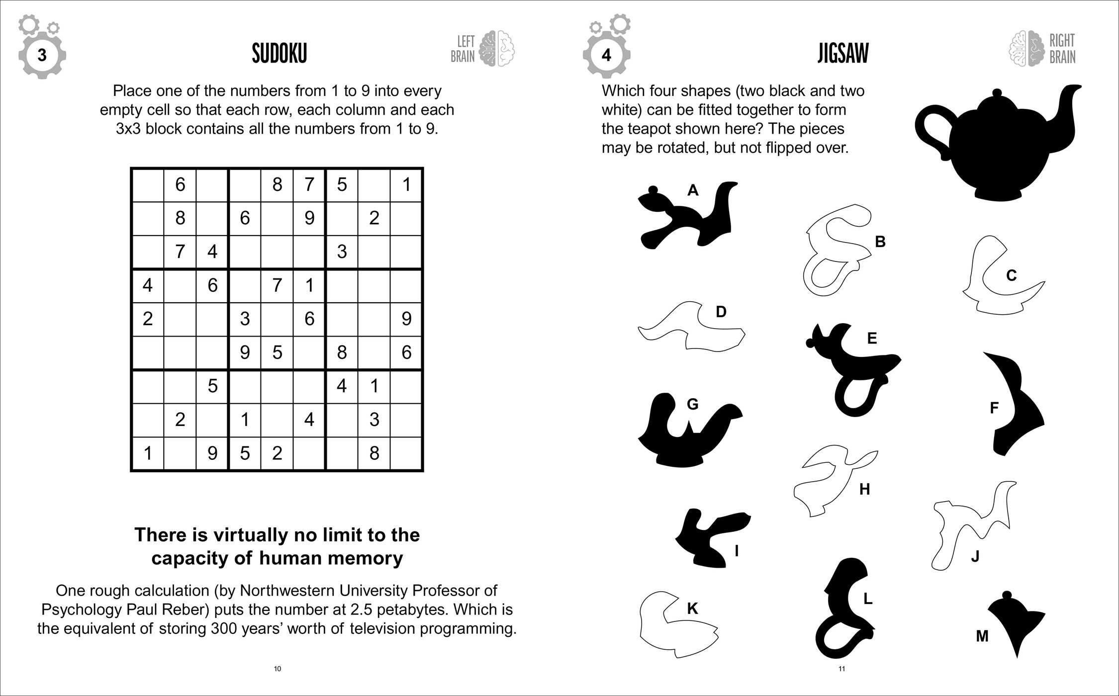 Left Brain, Right Brain Puzzles and Activities Book