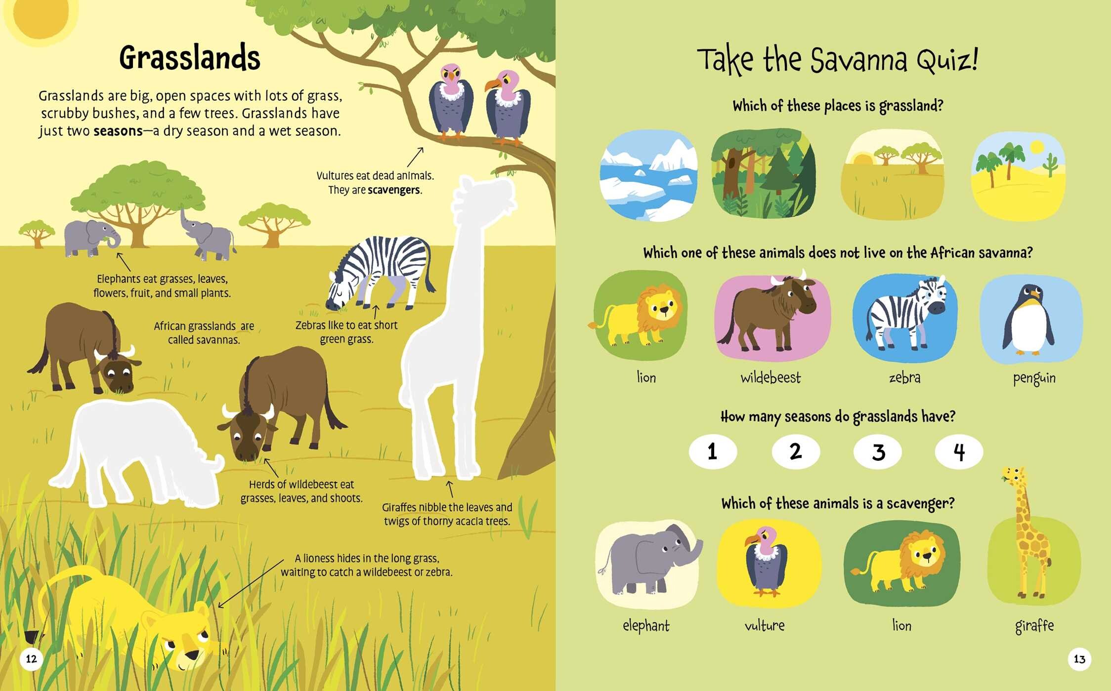 My First Sticker Activity Encyclopedia
