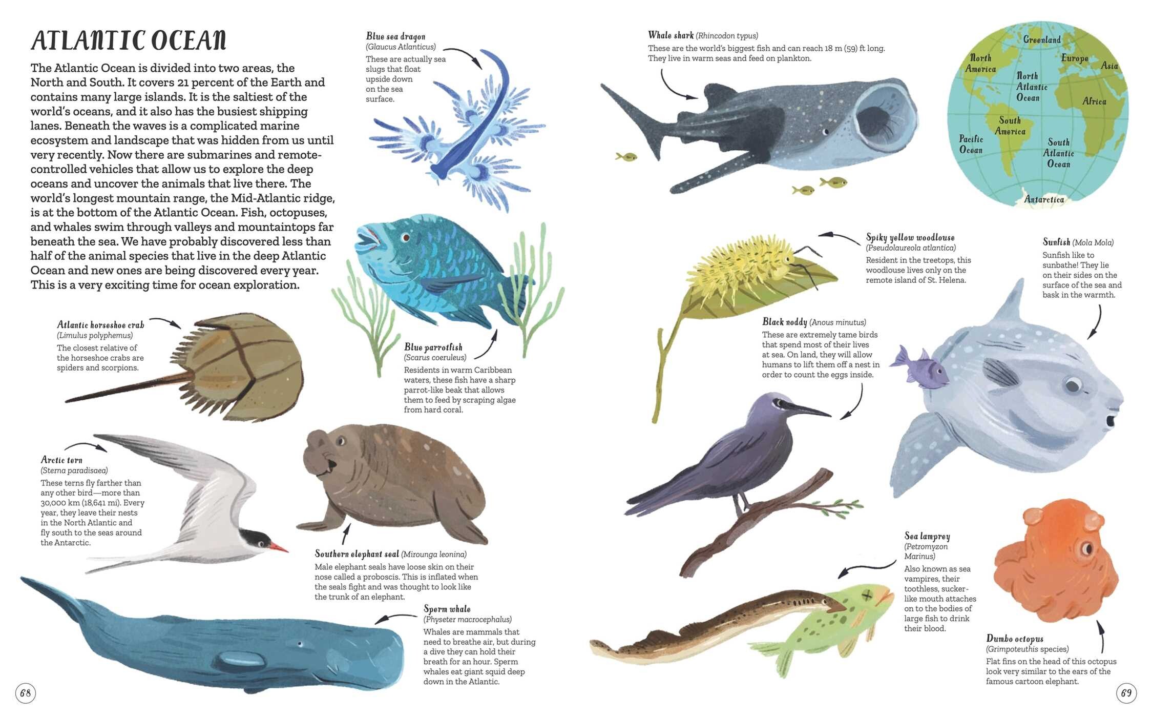 Children's Encyclopedia of Nature