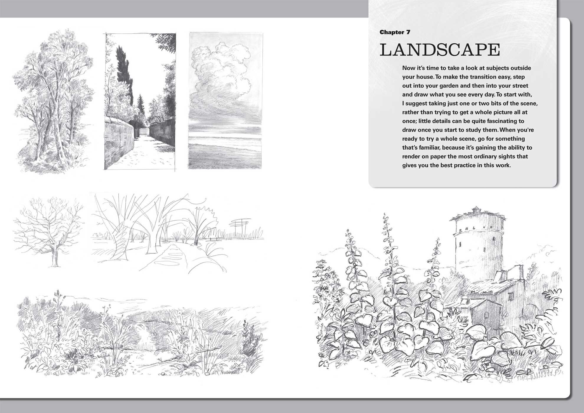 Complete Guide to Drawing