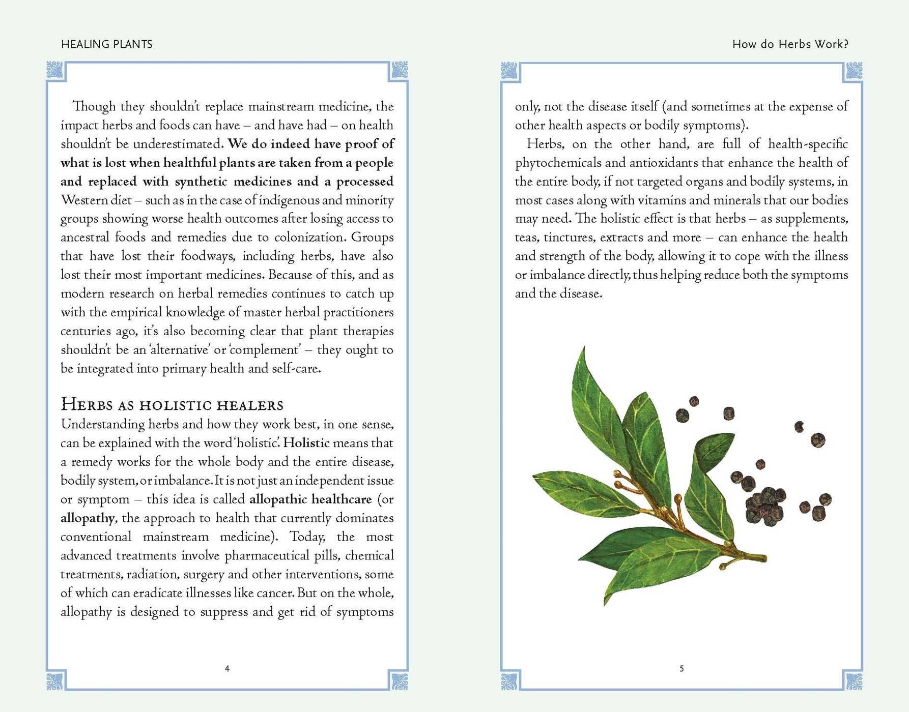 Healing Plants Book & Card Deck