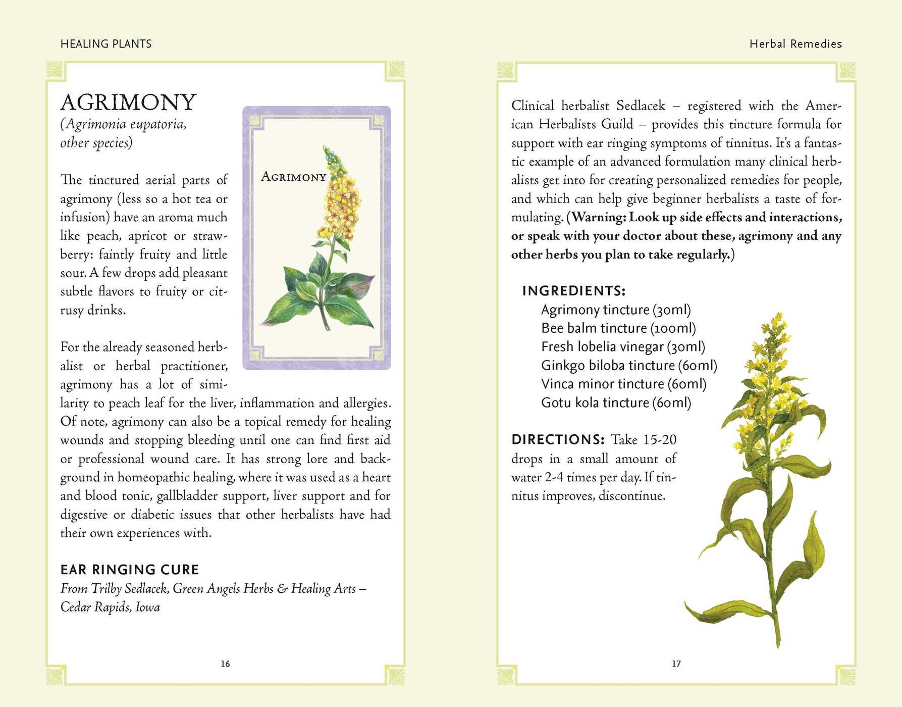 Healing Plants Book & Card Deck