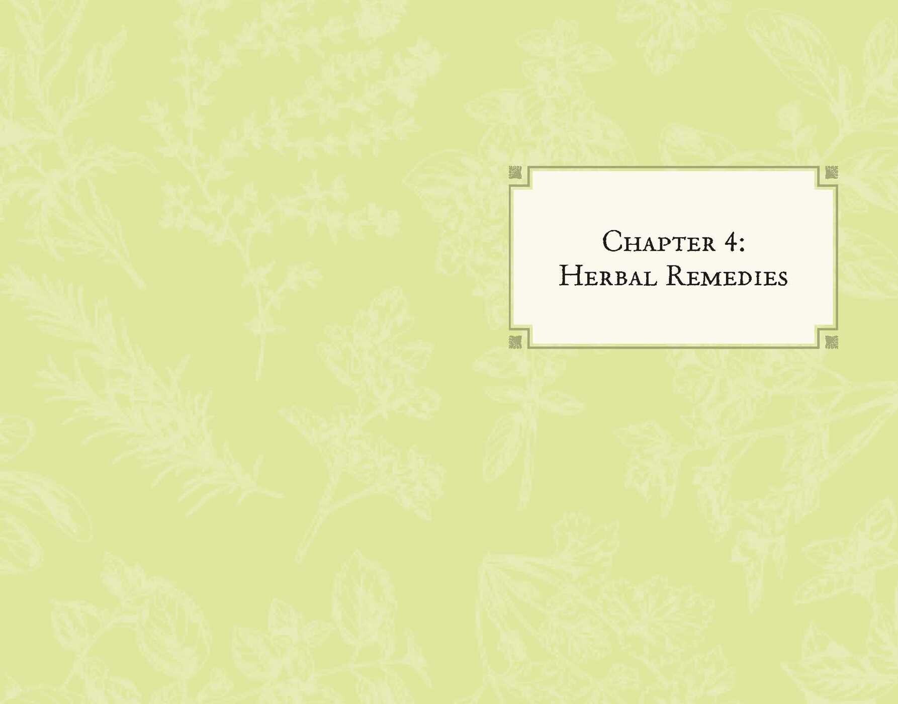 Healing Plants Book & Card Deck