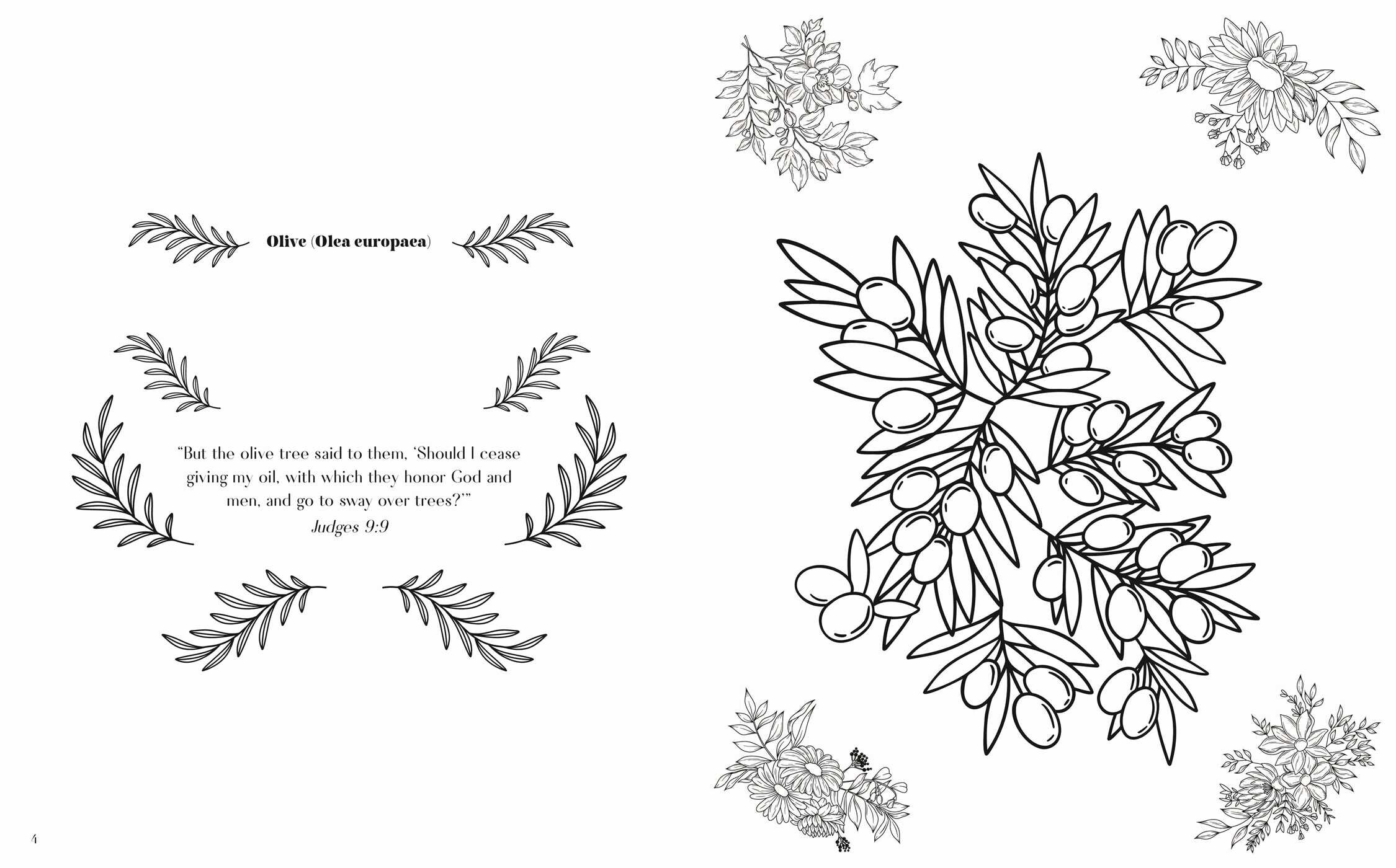 Flowers in the Bible Coloring Book