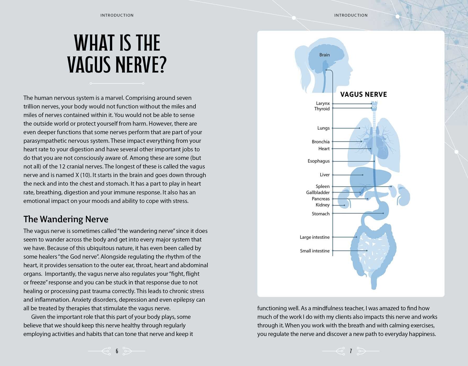 Vagus Nerve Connection Book & Card Deck