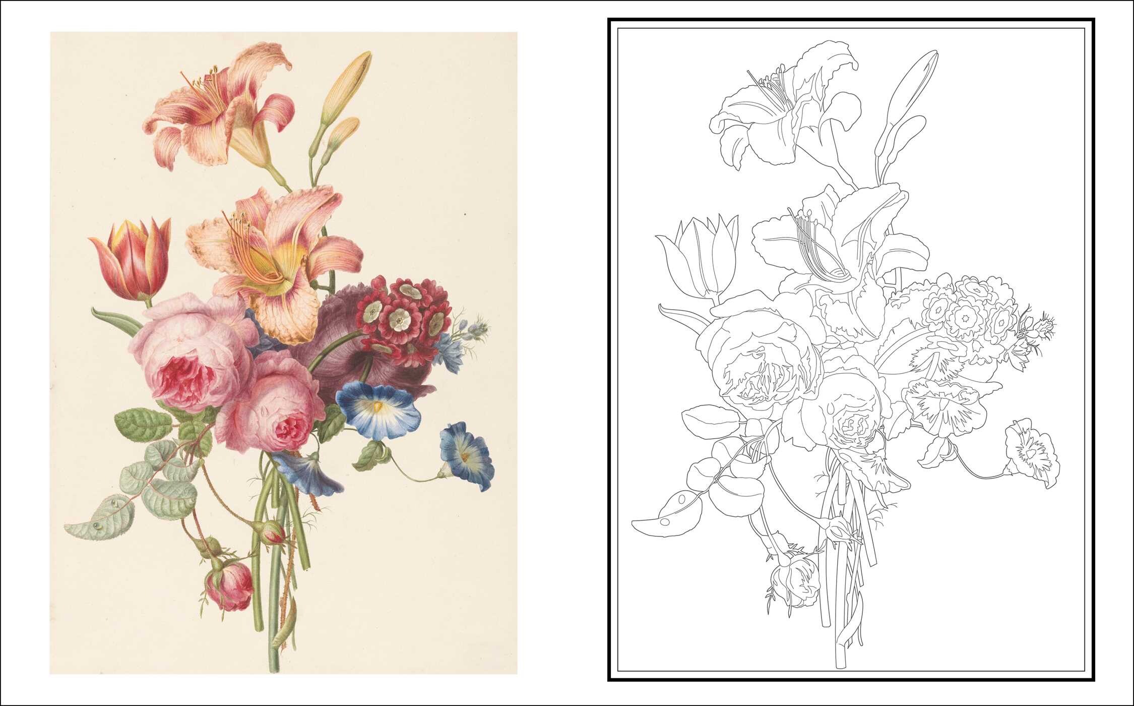 Glorious Flowers Coloring Book