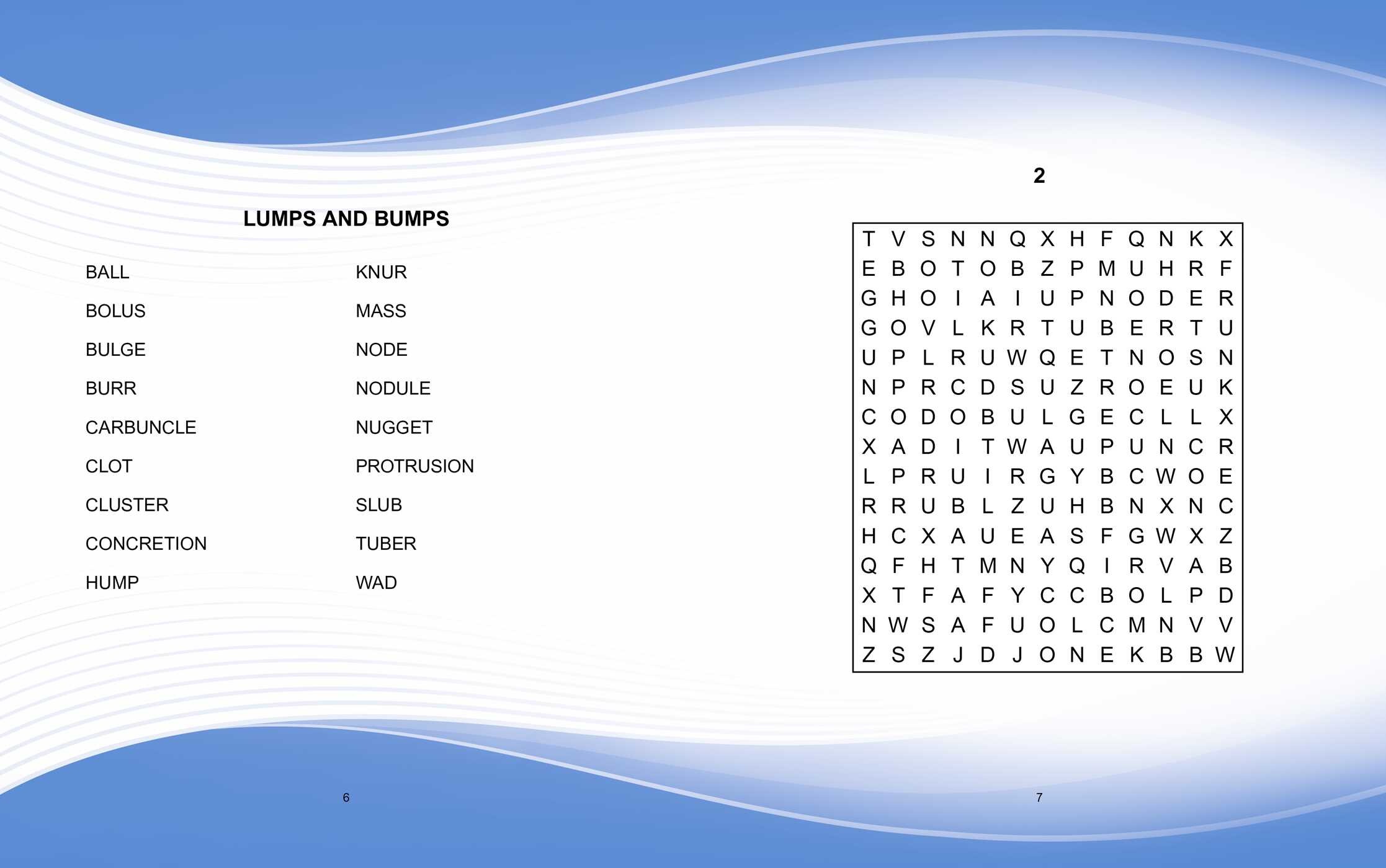 5-Minute Wordsearch (includes ball-point pen)