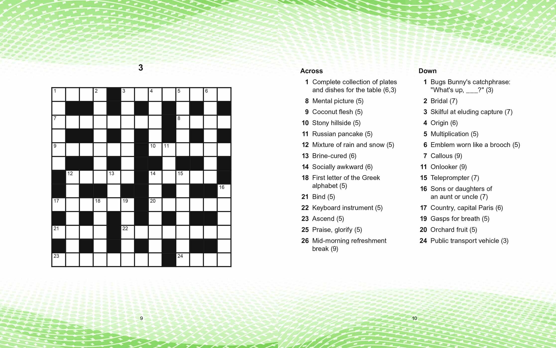 5-Minute Crosswords (includes ball-point pen)