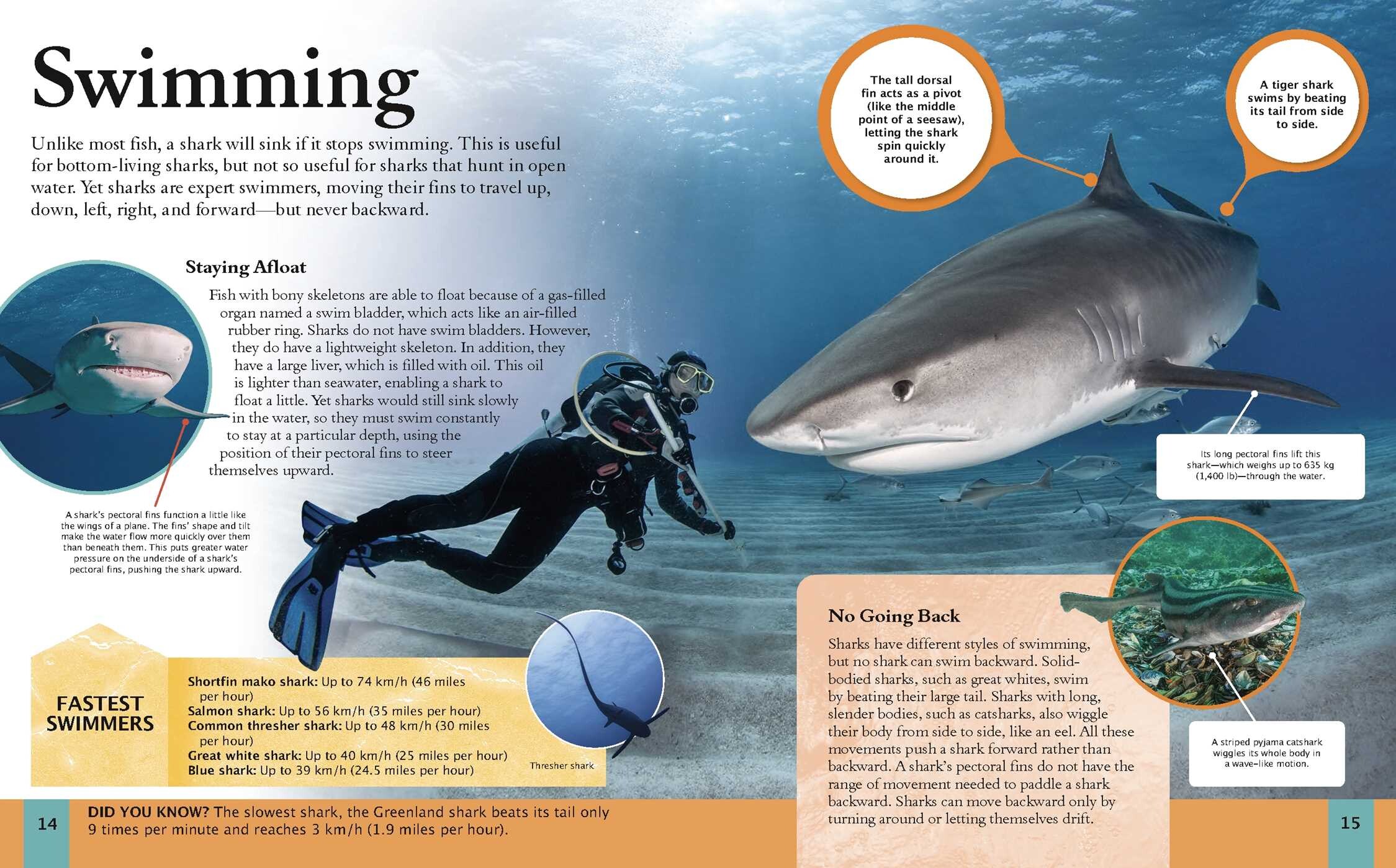 Shark Book