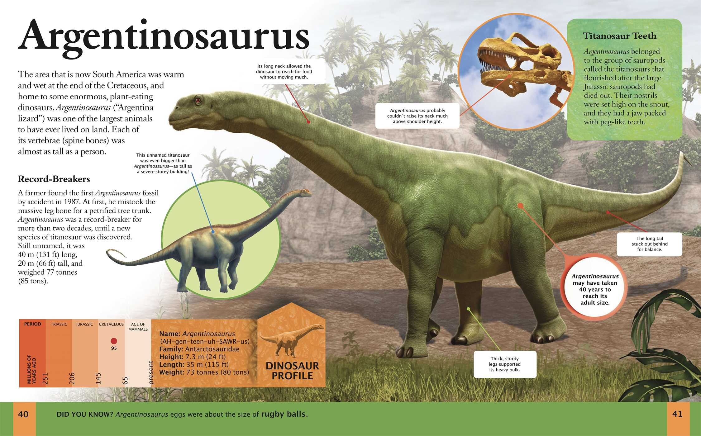 Amazing Book of Dinosaurs